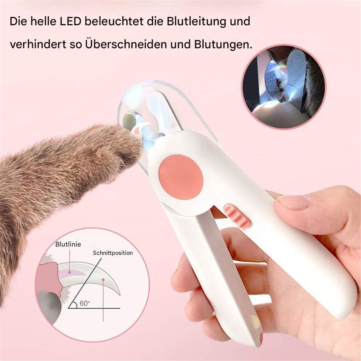 Katzenpfote wird mit einer Nagelzange getrimmt. Die Zange hat Lichter, und das Diagramm zeigt den Schnittwinkel.