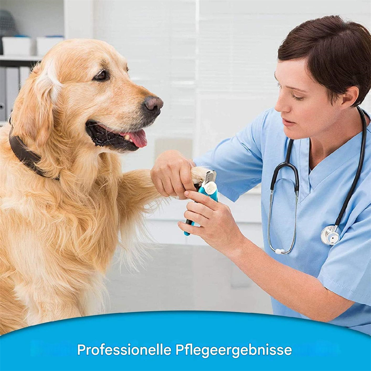 Ein Tierarzt schneidet die Krallen eines Golden Retrievers. Text: "Professionelle Pflegeergebnisse".