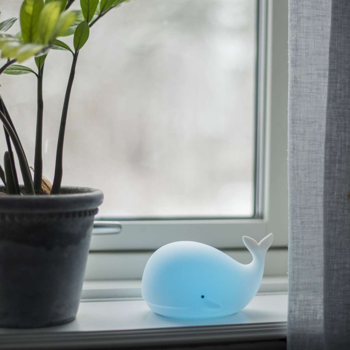 Ein blaues Wal-Nachtlicht auf einer Fensterbank mit einer Pflanze und Vorhang im Hintergrund.