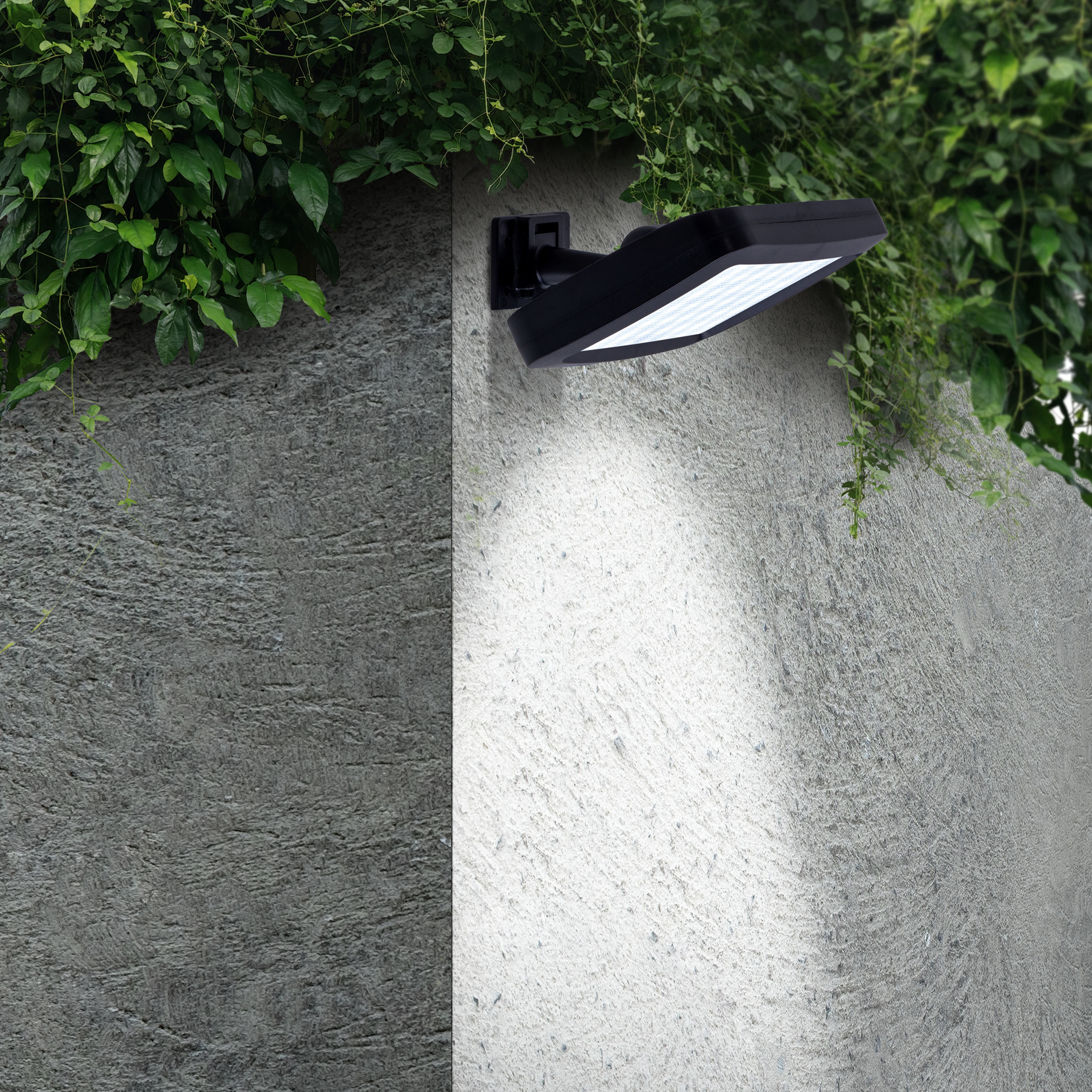 Schwarze Außenleuchte an einer grauen Wand mit grünen Ranken und Blättern oben.