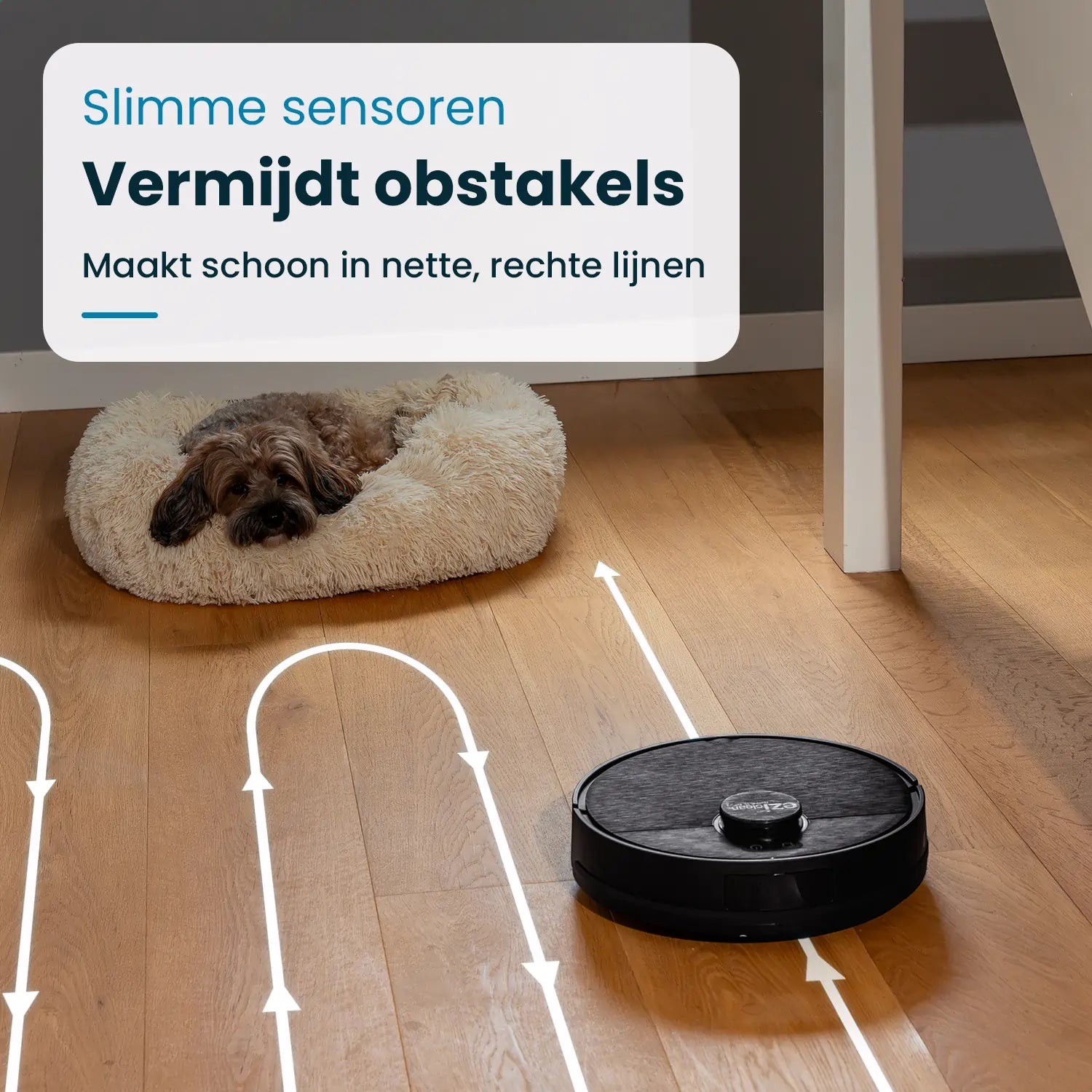 Robot sprzątający na drewnianej podłodze, sprzątający, z psem w łóżku w pobliżu. Nakładki tekstowe pokazują funkcje.