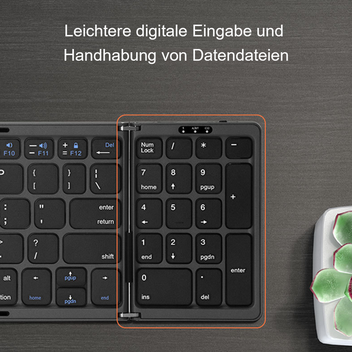 Eine Tastatur mit Nummernblock, die das Layout und eine kleine Pflanze zeigt.