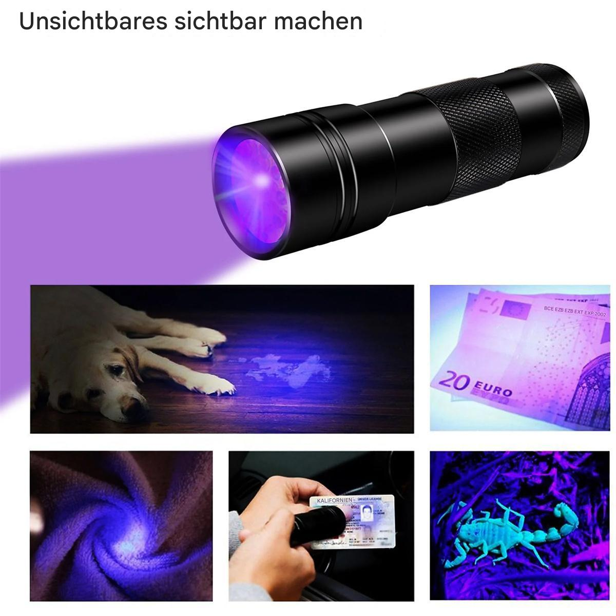 Schwarze Taschenlampe mit violettem Licht, das verschiedene Objekte beleuchtet, darunter ein Hund und Geld.