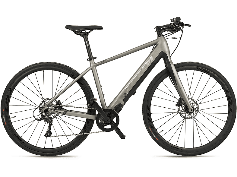 TOTEM HWD Urbanbike (Laufradgröße: 28 Zoll, Herren-Rad, 230, Platin)