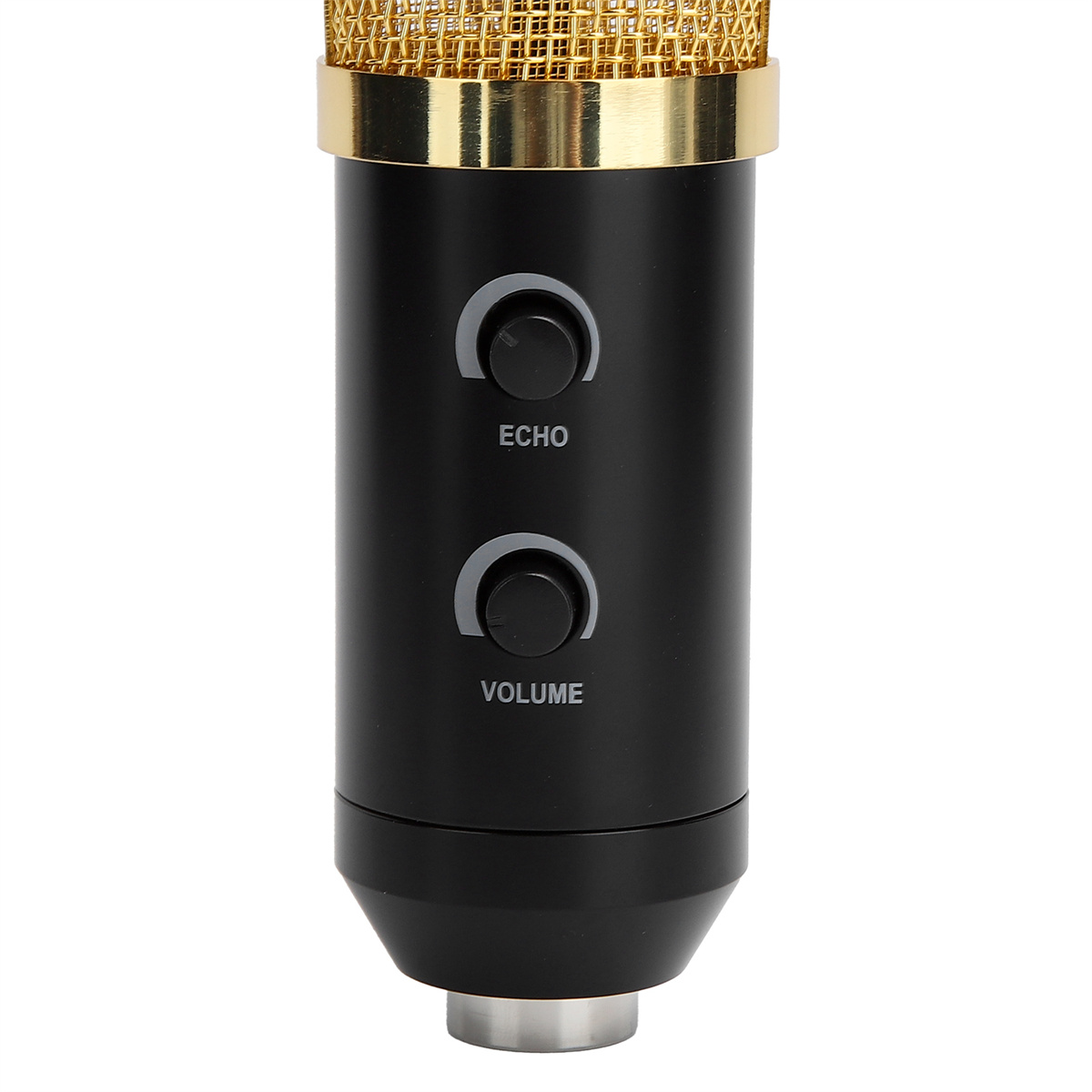 Nahaufnahme eines schwarzen Mikrofons mit Goldgitter und zwei Knöpfen mit 'ECHO' und 'VOLUME'.