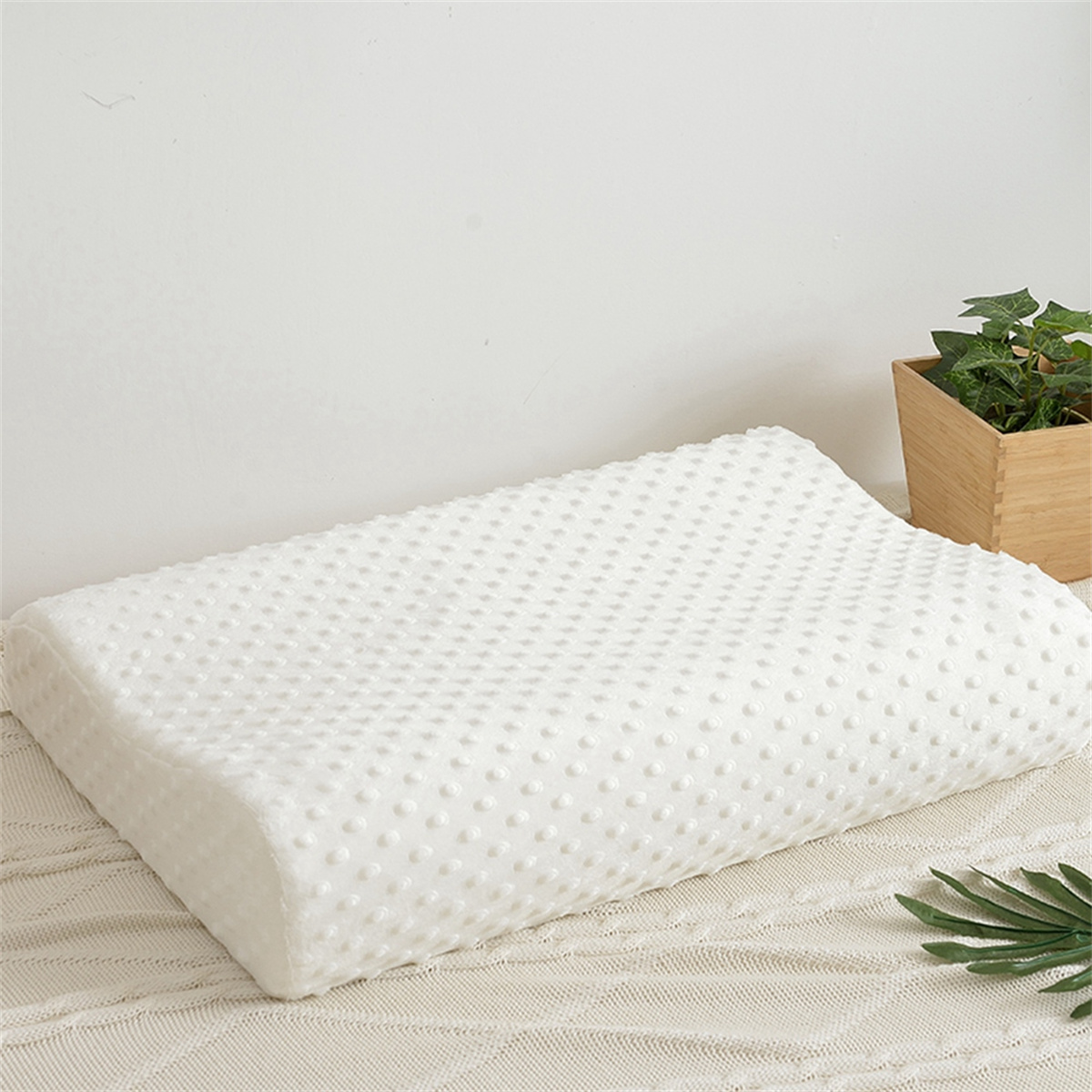 Ein weißes Memory-Foam-Kissen auf einer weißen Oberfläche, mit einer Pflanze im Hintergrund.