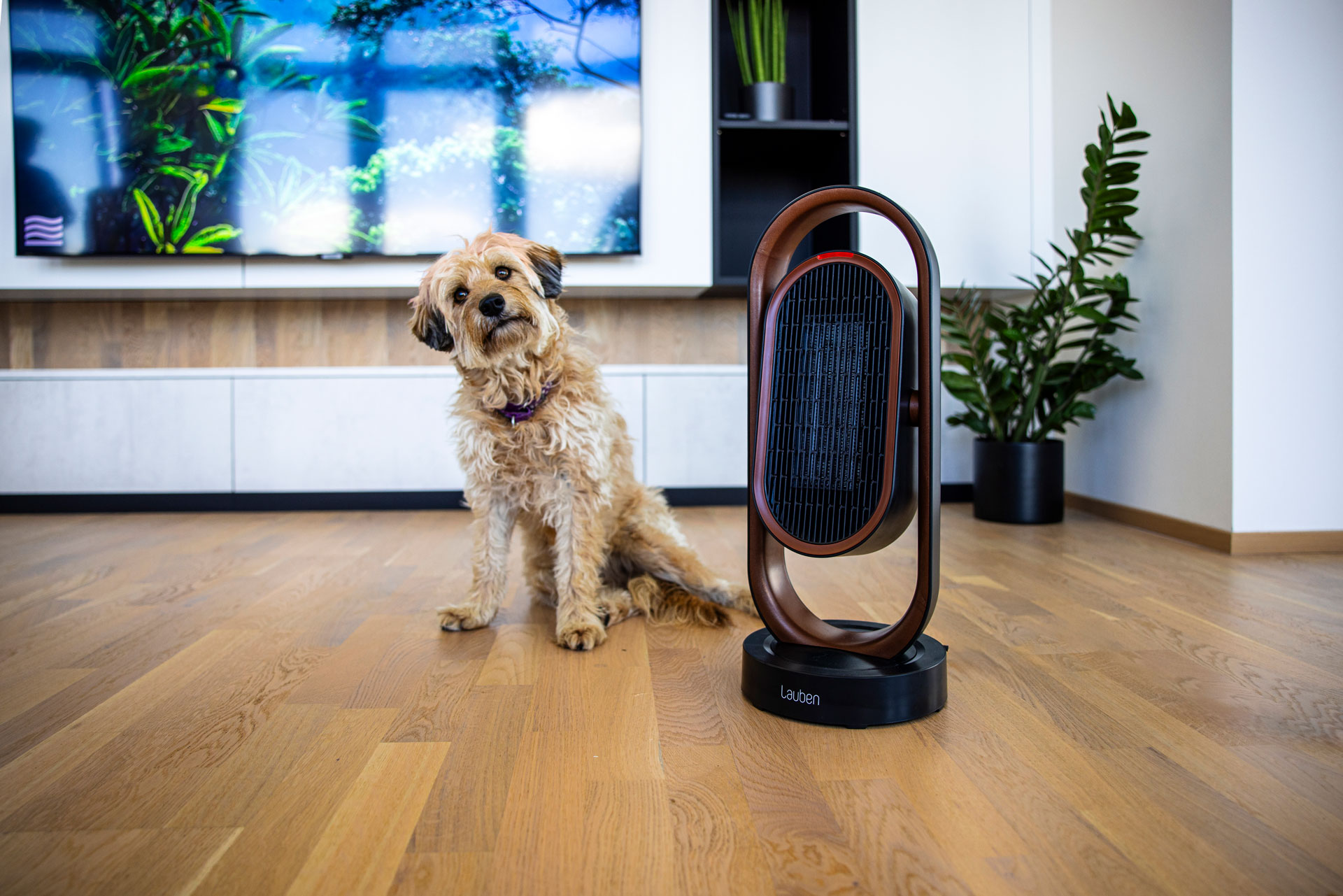 Un cane siede vicino a un riscaldatore in una stanza. Il pavimento è in legno.