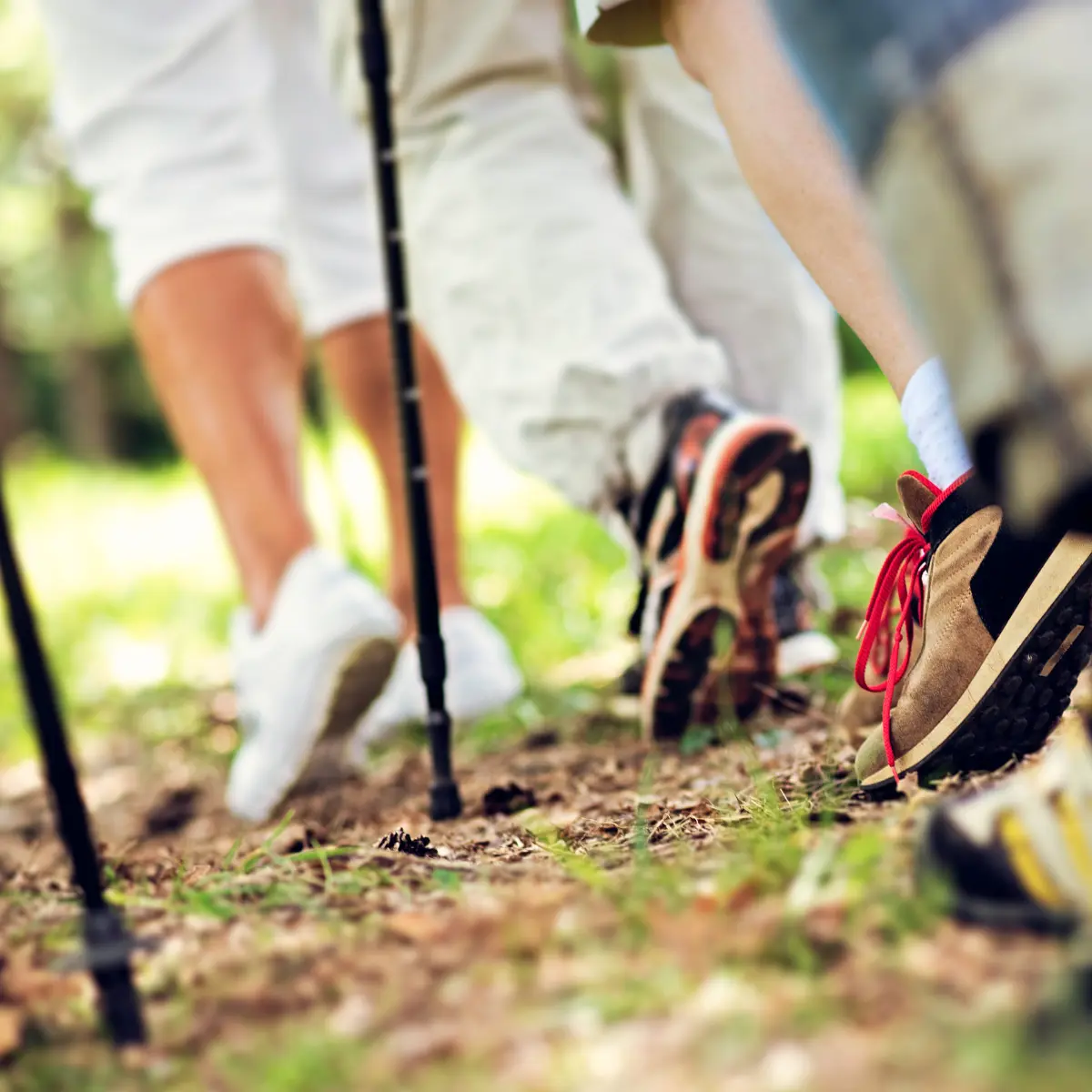 People walking on a forest path, shoes and legs visible. Focus on shoes and ground.