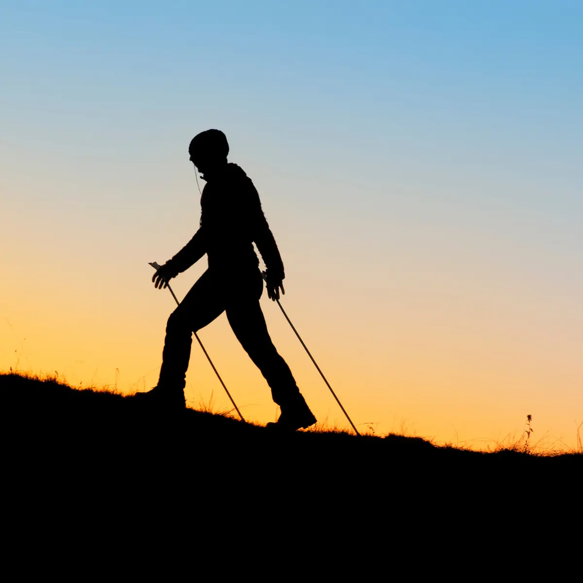 Silhouette of a person Nordic walking uphill at sunset, with poles and a phone.