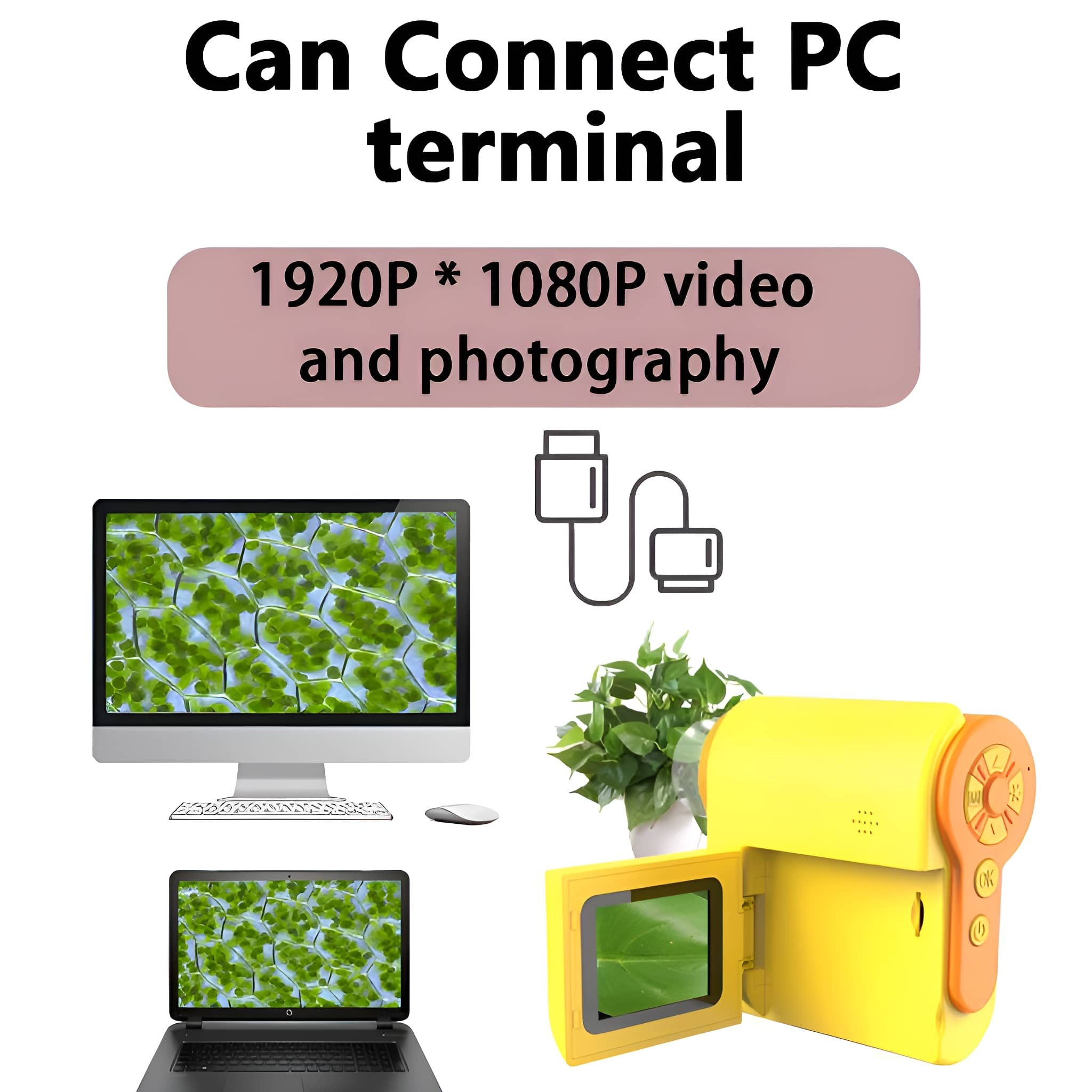 Eine gelbe Kamera, die mit einem Computer und Laptop verbunden ist und ein grünes Blatt zeigt.