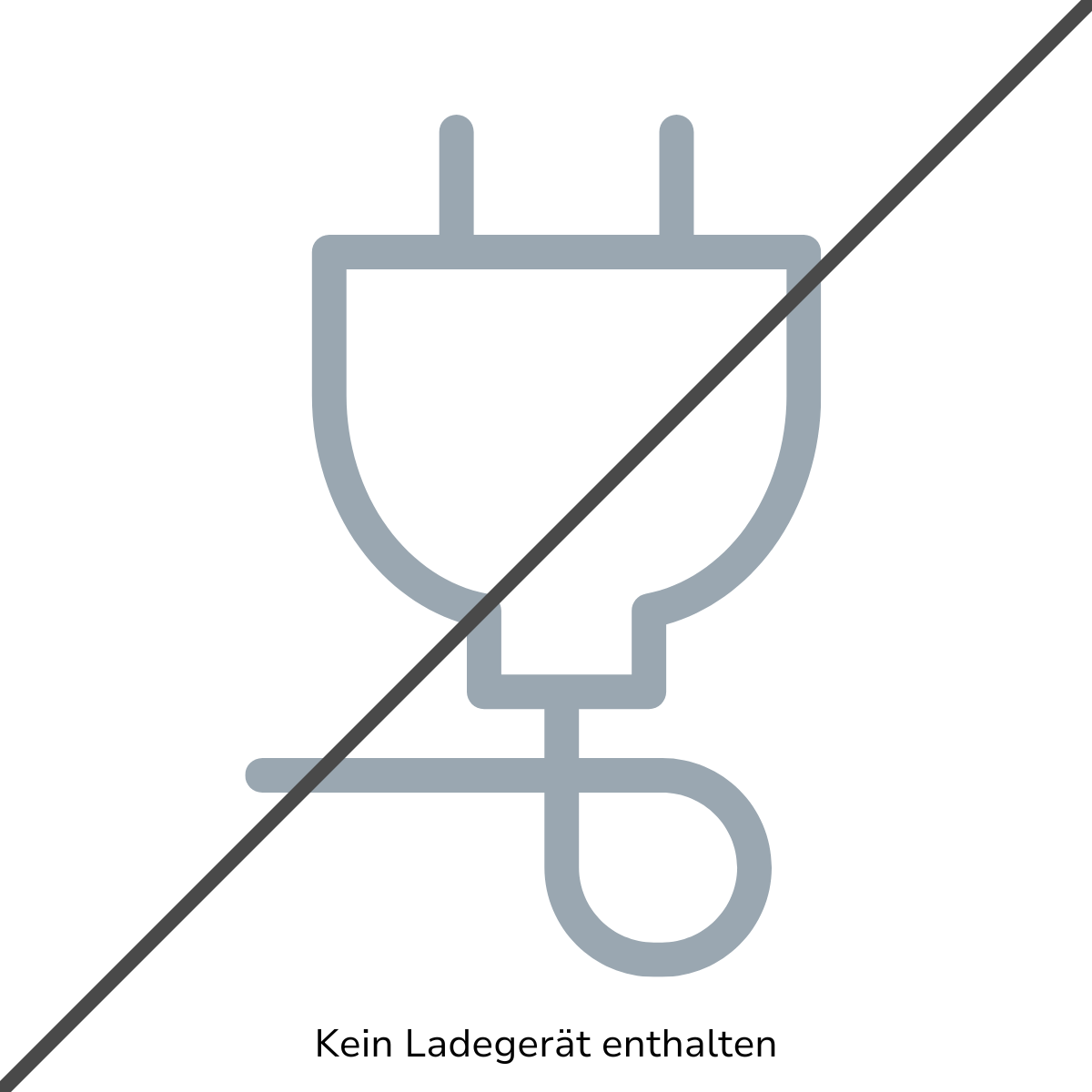 Ein graues Steckersymbol mit einem Strich und dem Text 'Kein Ladegerät enthalten' darunter.