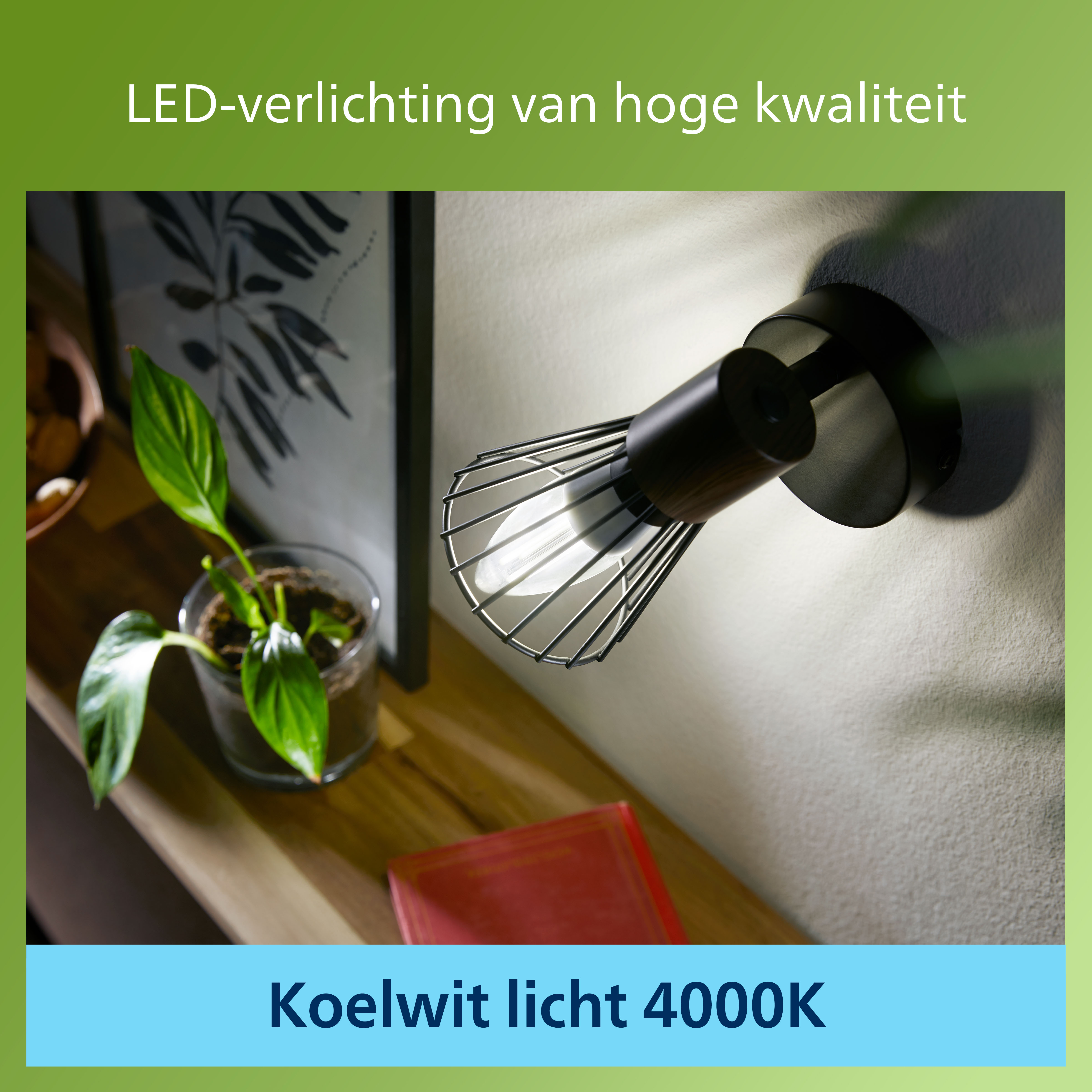 Une lampe noire avec un abat-jour en forme de cage sur une étagère en bois et une plante. Texte : Éclairage LED.