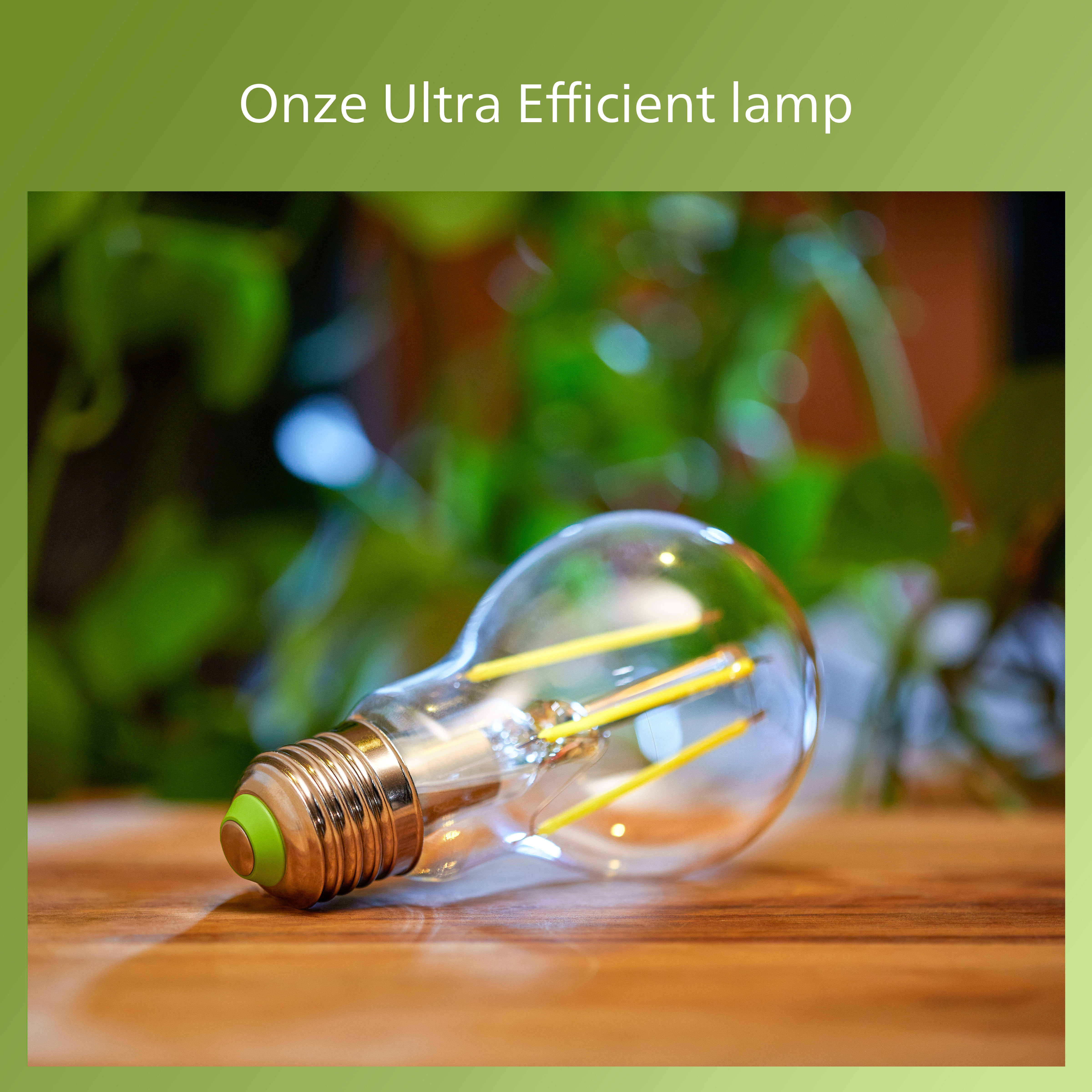 Une ampoule Philips sur une surface en bois, avec un fond vert.
