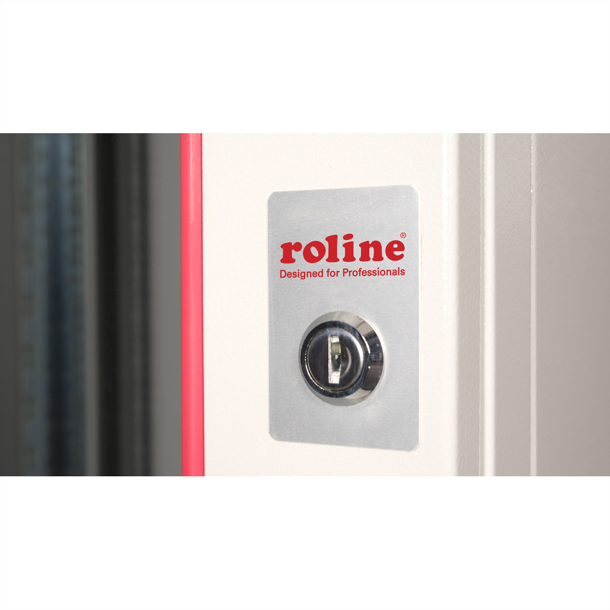 Primo piano di una porta con logo 'roline' e serratura argentata.