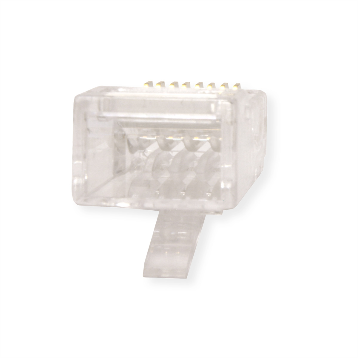 Un connettore RJ45 trasparente, con un piccolo fermo.