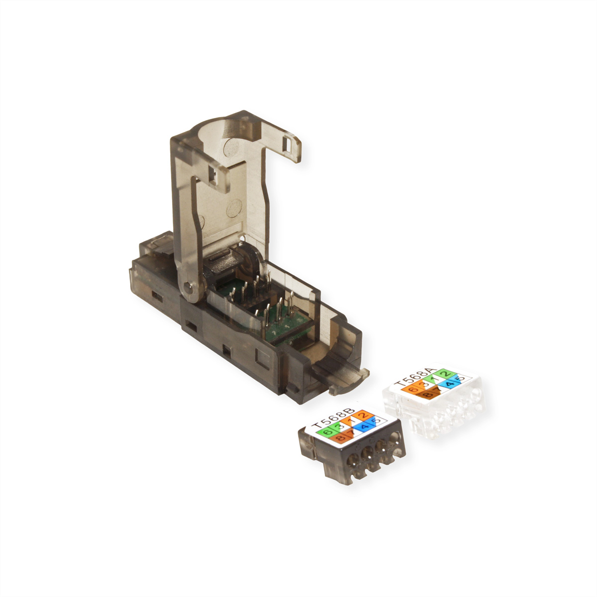 Connettore RJ45 trasparente, aperto, con due connettori T568A e T568B separati.