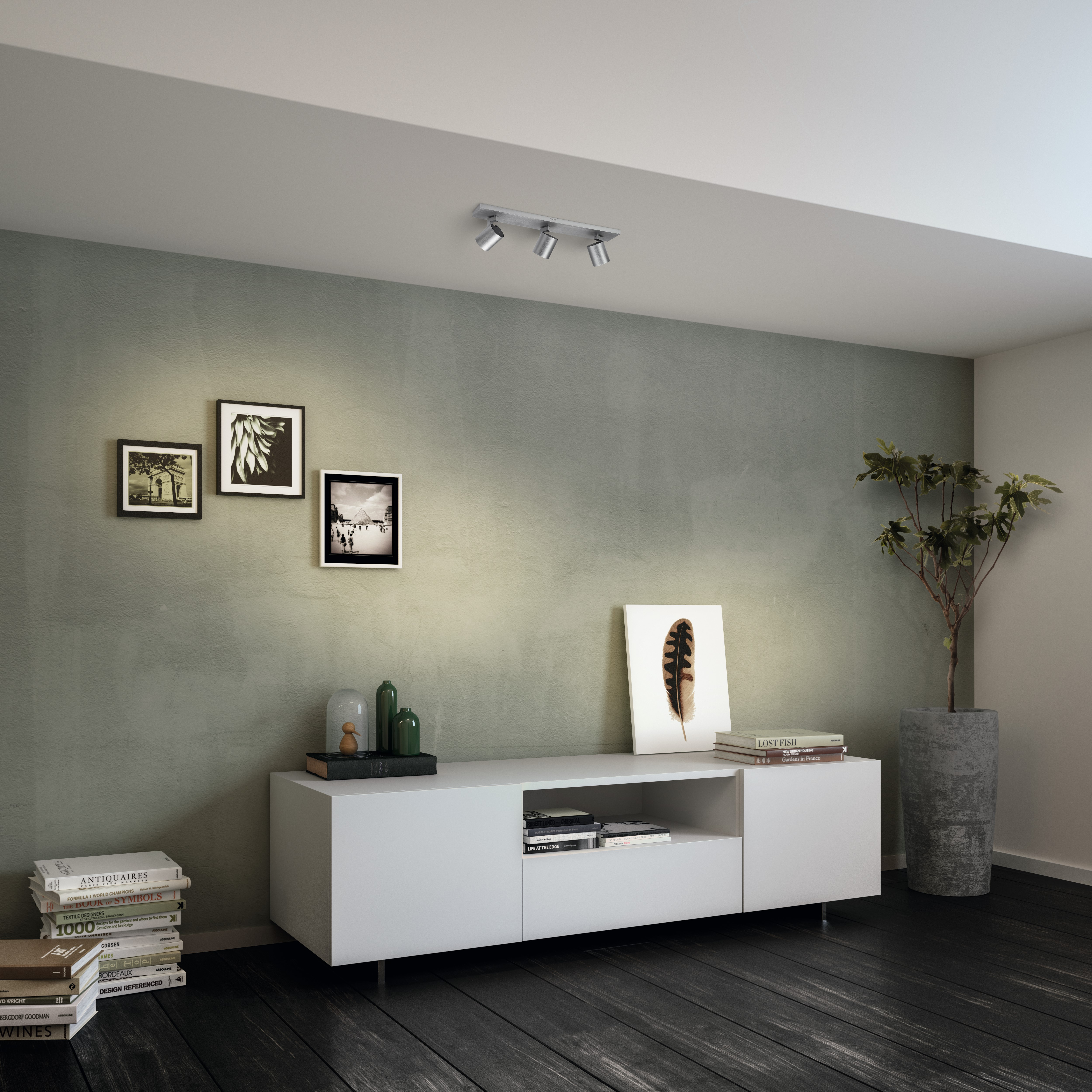 Living room with a white cabinet, art, and a plant.