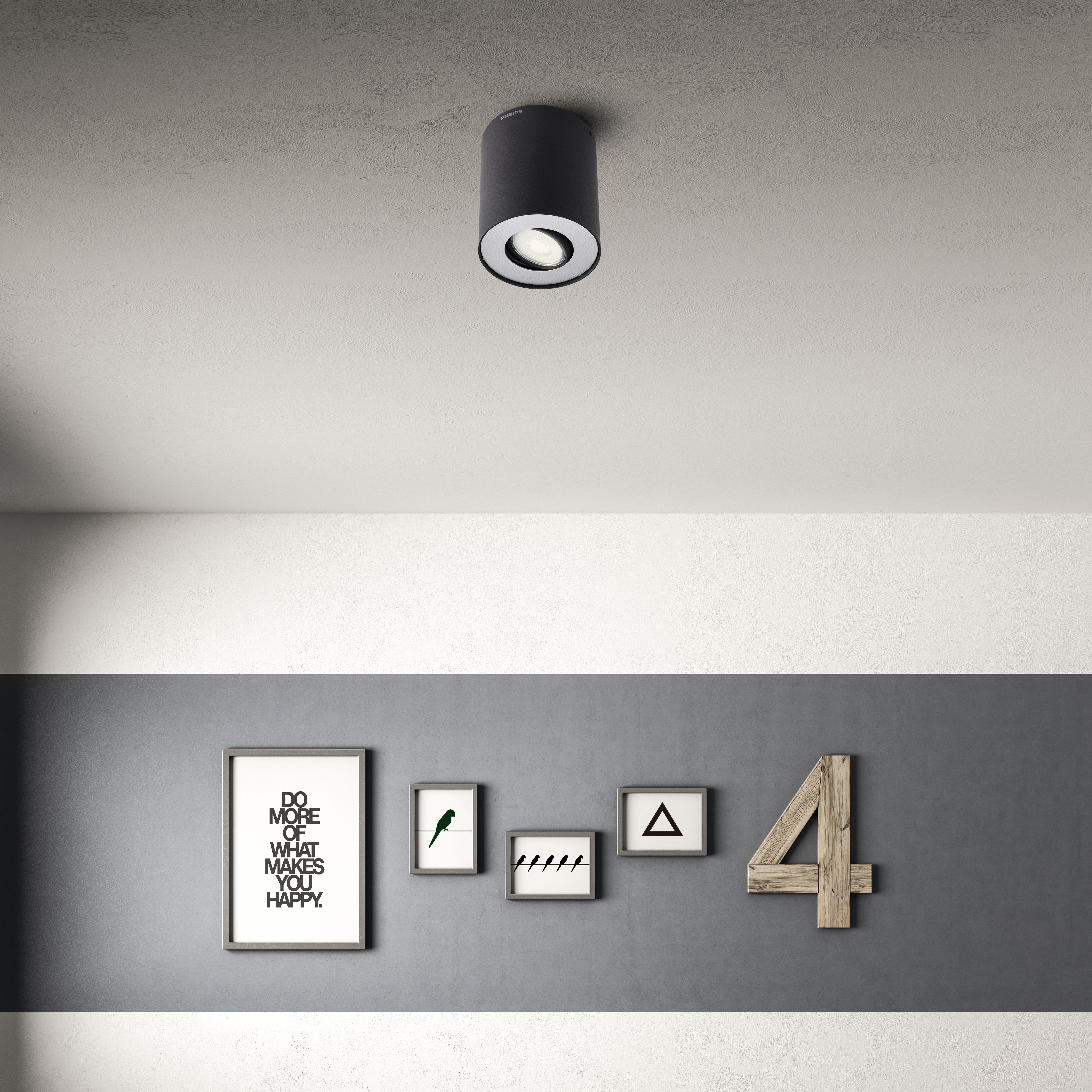 A black cylindrical ceiling light with a white ring. Pictures on a gray wall. White ceiling.