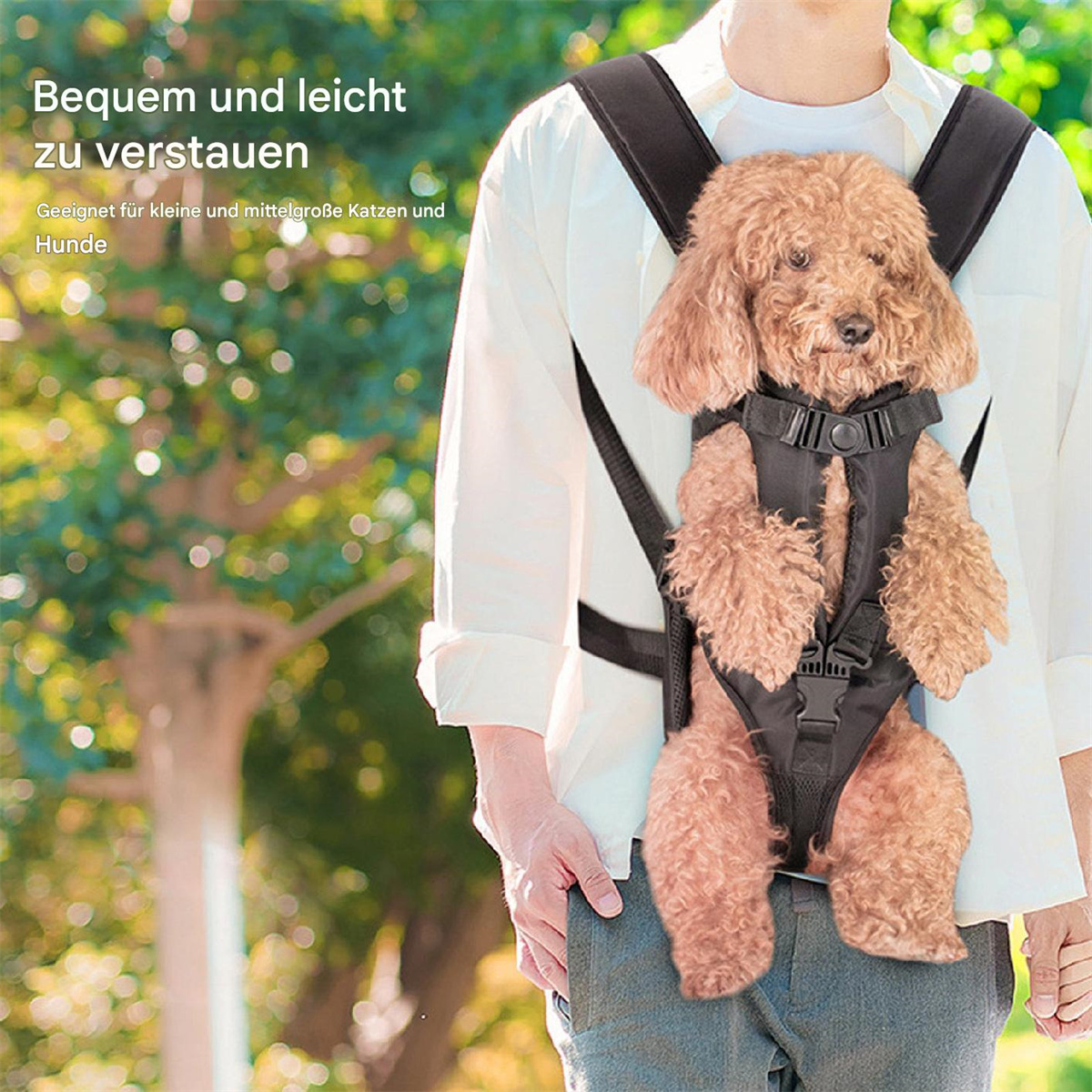 Ein Mann, der einen kleinen Hund in einem Rucksack trägt.