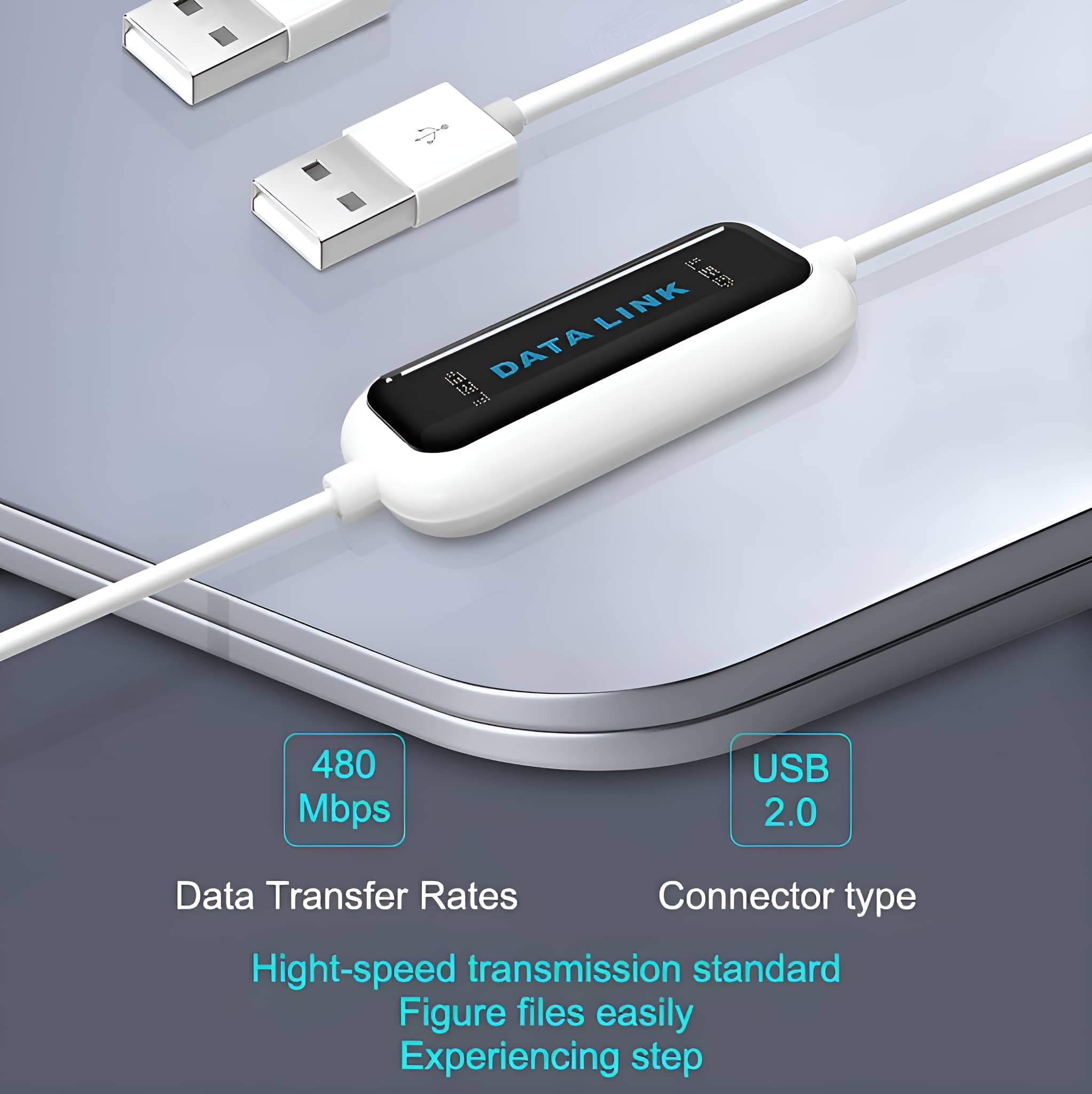 Weißes USB-Kabel mit Data Link-Box, zwei USB-Anschlüssen, 480 Mbit/s und USB 2.0-Text.