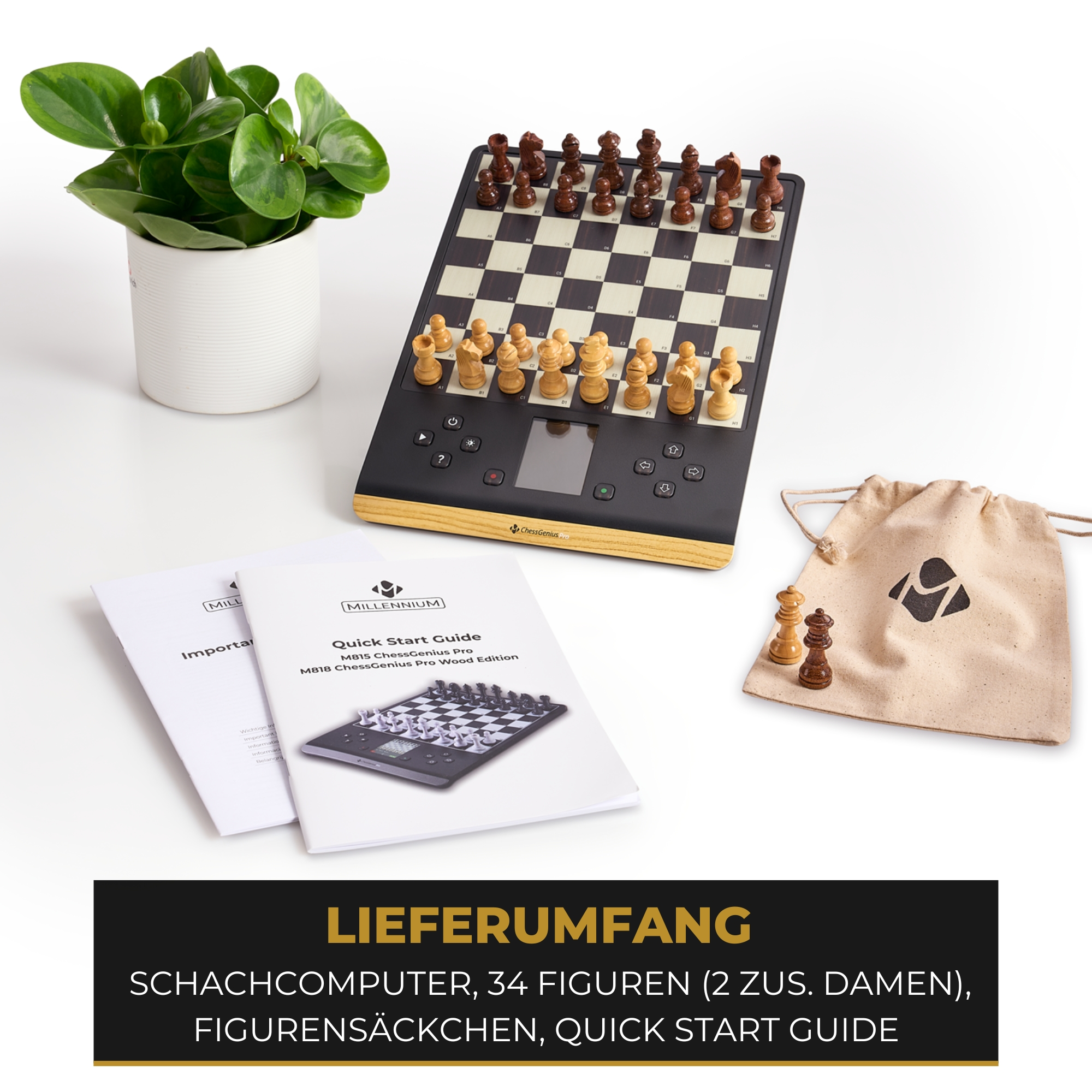 Schachspiel mit schwarz-goldenem Brett, Figuren und einer Tasche. Anleitungen und eine Pflanze liegen daneben.