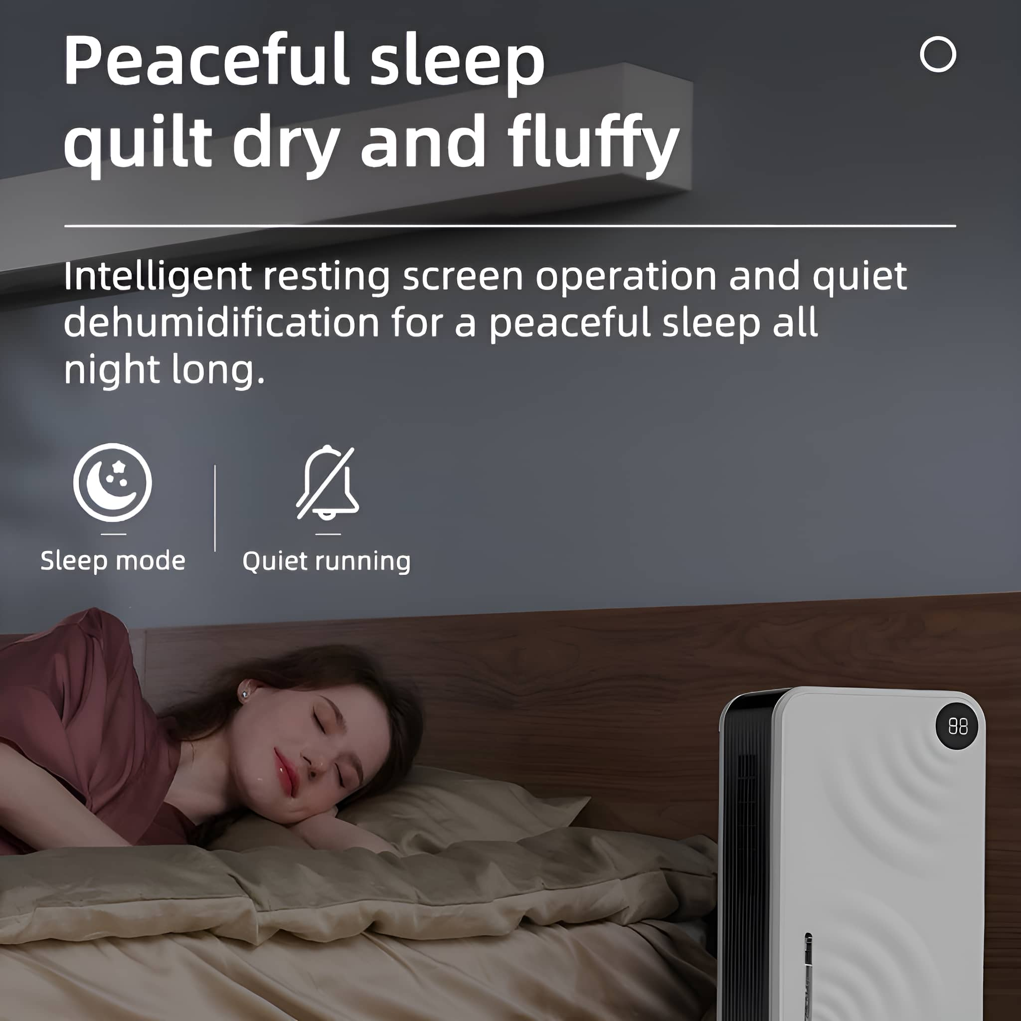 Eine Frau schläft in einem Bett, mit einem Luftentfeuchter und Text über ruhigen Schlaf und leisen Betrieb.