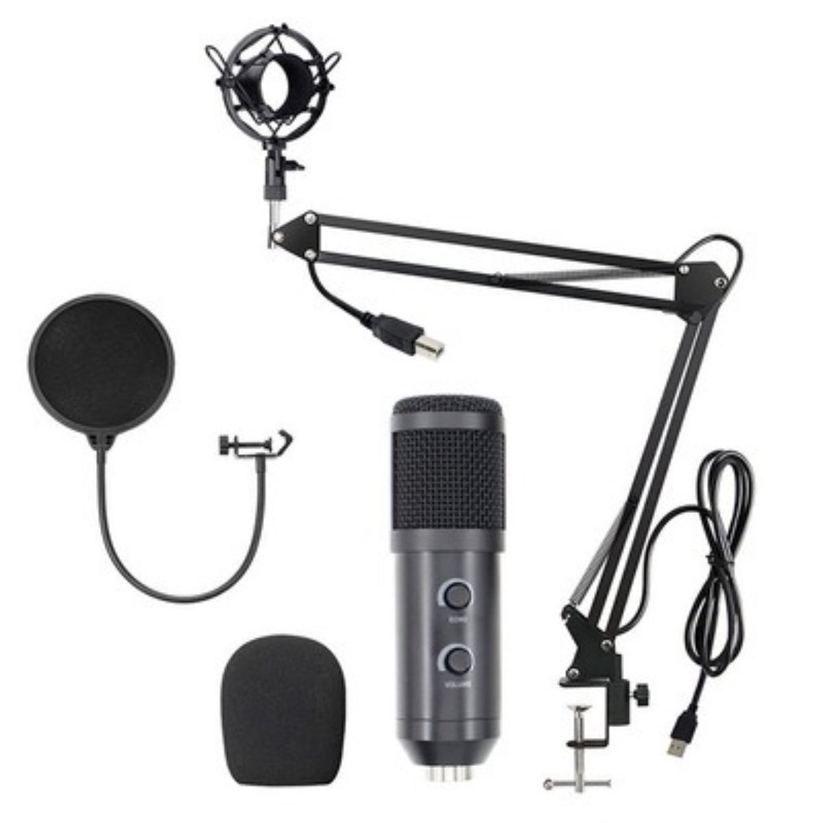 Mikrofon-Kit: schwarzes Mikrofon, Pop-Filter, Ständer, Halterung und Kabel.