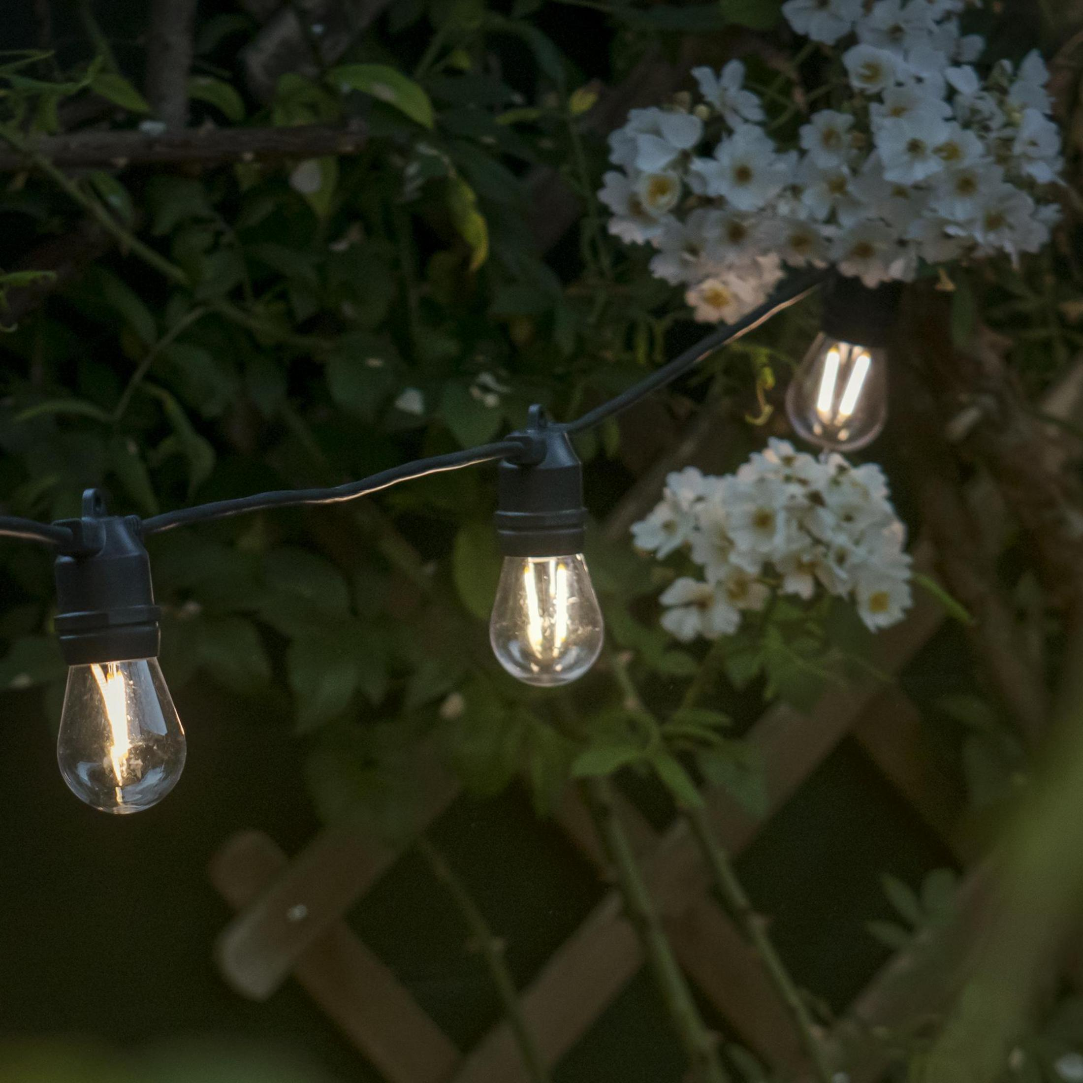 Catena di luci per esterni con lampadine trasparenti, davanti a fiori bianchi e una recinzione.