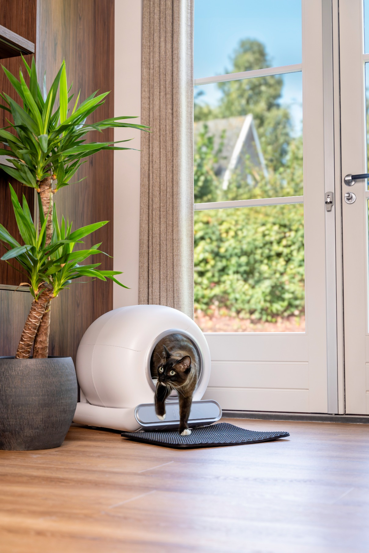 A cat exiting a white, enclosed cat litter box, next to a potted plant.