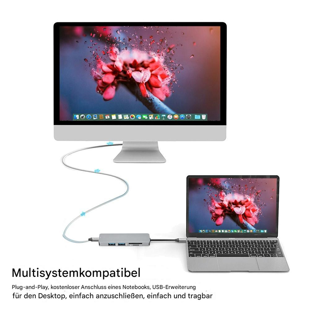 Laptop über einen Hub mit einem Monitor verbunden, zeigt ein rotes Blumenbild.