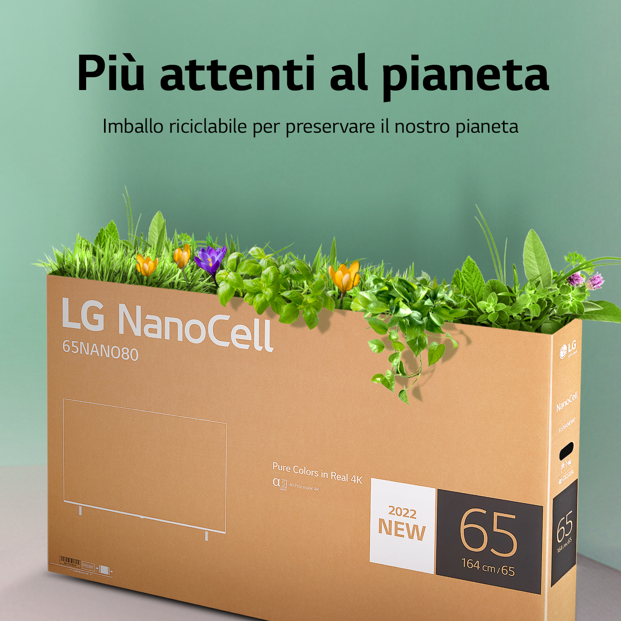 Scatola di cartone con erba e fiori sopra, testo: 'Più attenti al pianeta' e TV LG NanoCell.
