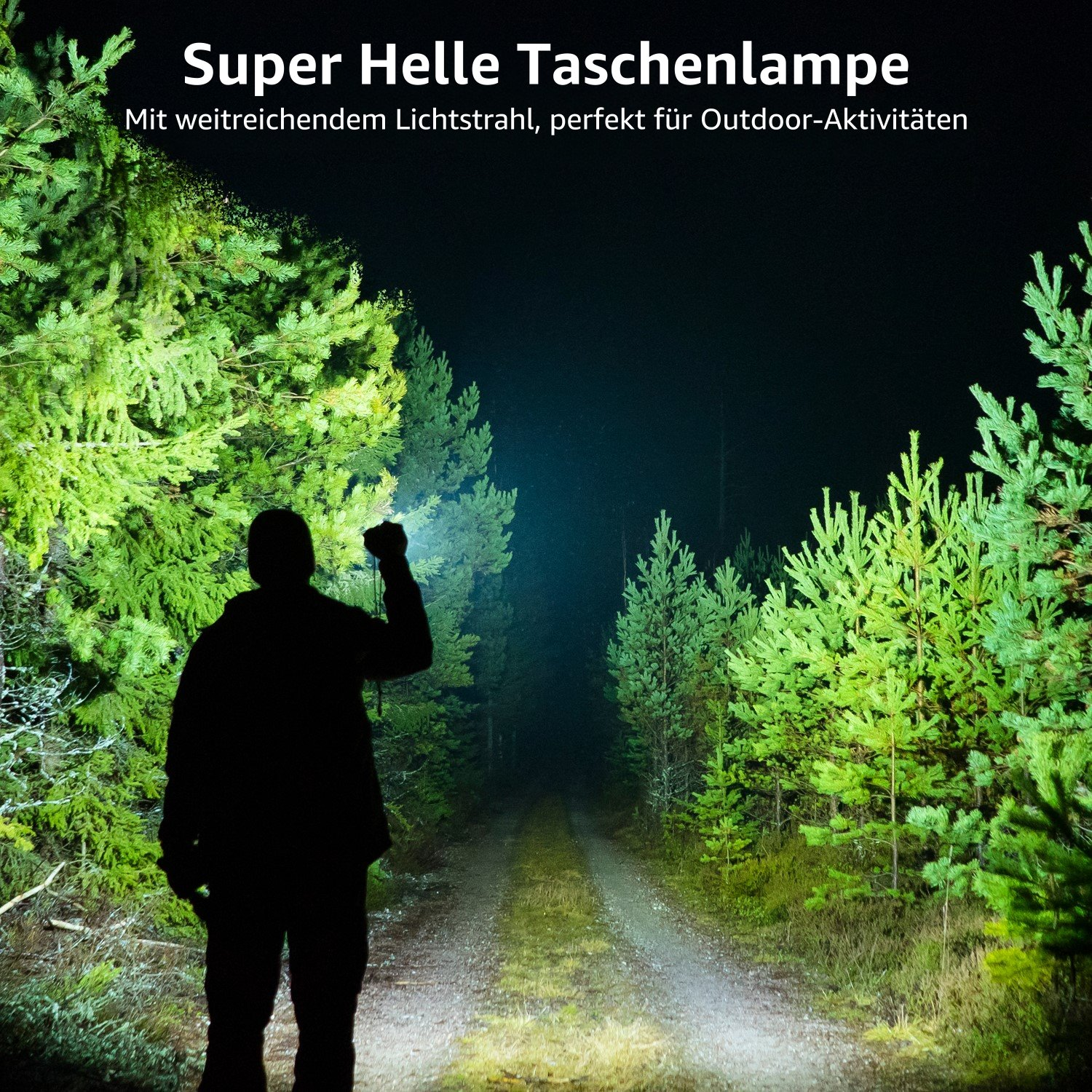 Silhouette einer Person mit Taschenlampe im Wald bei Nacht. Bäume beidseitig, Pfad in der Mitte.