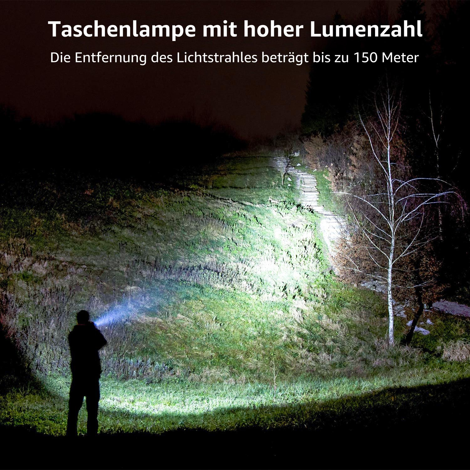 Eine Person benutzt nachts eine Taschenlampe. Der Strahl beleuchtet einen Pfad. Der Hintergrund ist dunkel.
