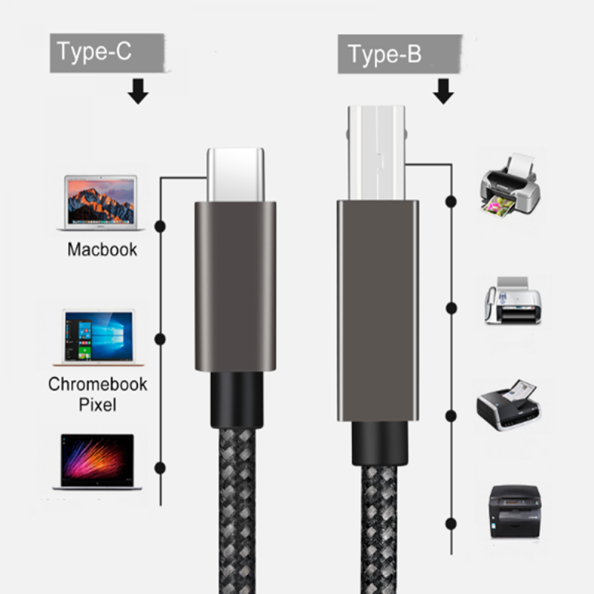 USB-C-zu-USB-B-Kabel. Typ-C zu Macbook, Chromebook Pixel. Typ-B zu Druckern. Weißer Hintergrund.