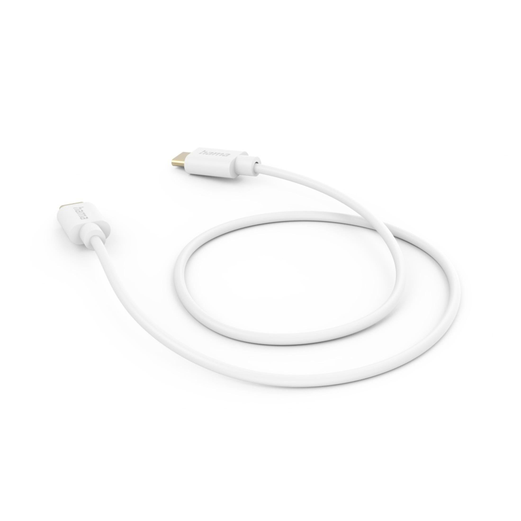 Cavo USB-C bianco con due connettori.