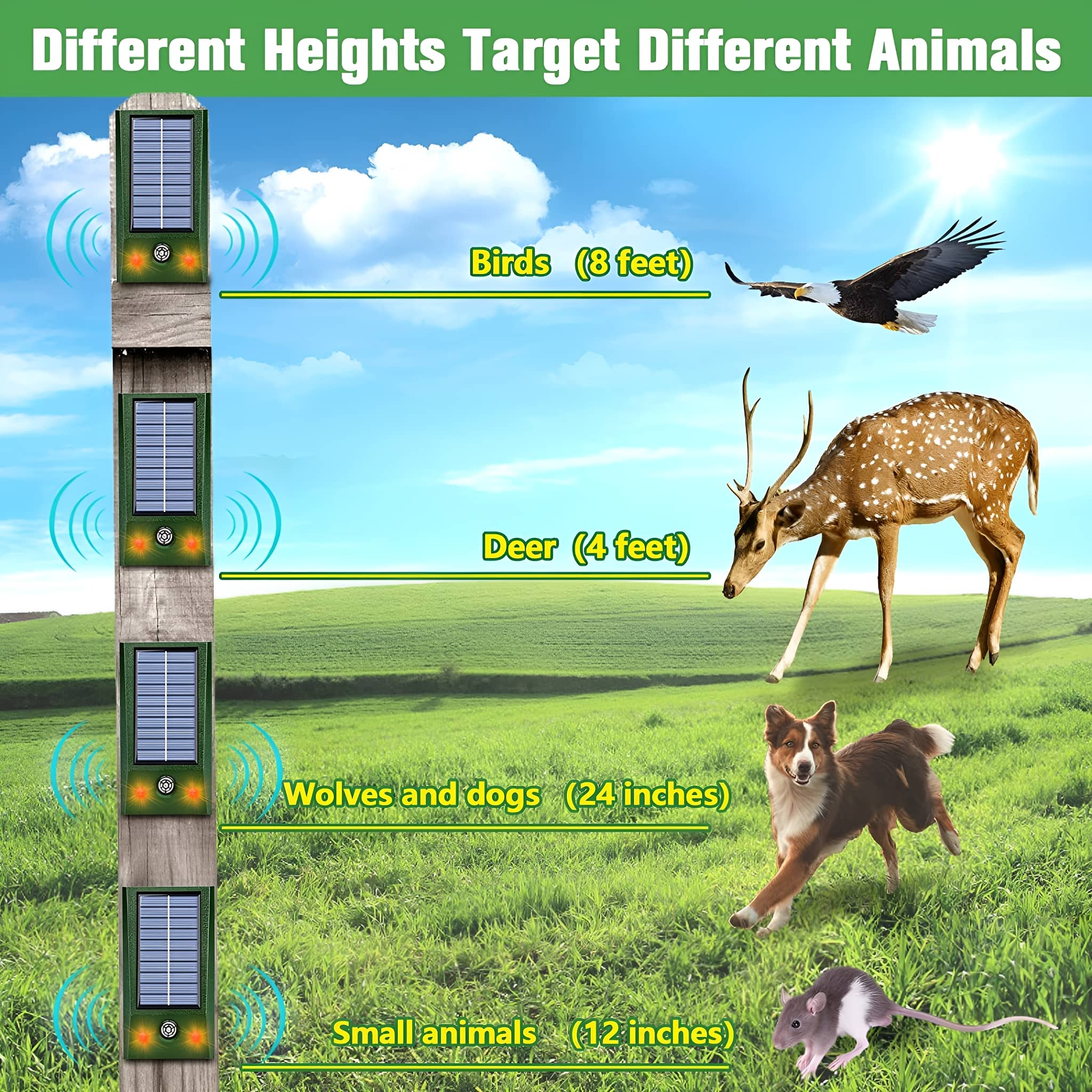 Bild zeigt Höhen für Tierabwehr. Vögel, Hirsche, Wölfe und kleine Tiere mit entsprechenden Höhen.
