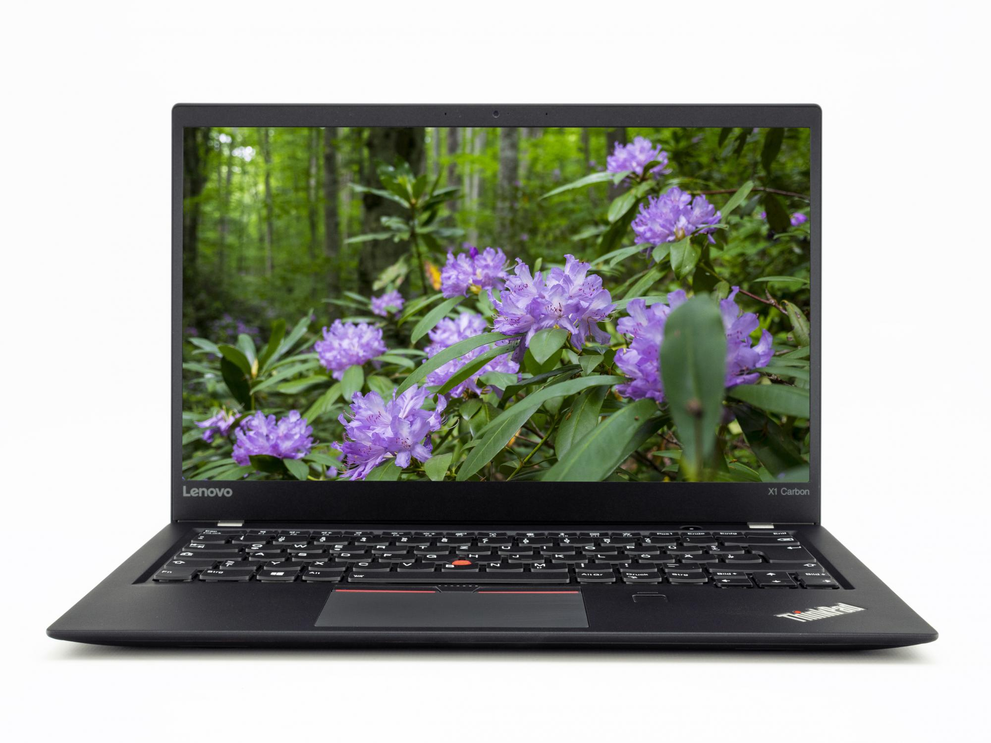 Ein schwarzer Laptop mit einem grünen Waldbild auf dem Bildschirm, weißer Hintergrund.