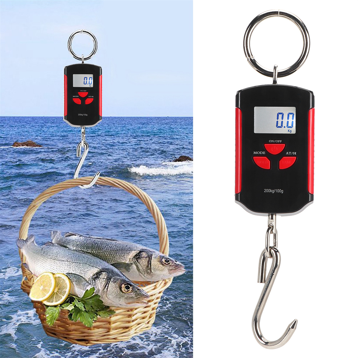 Zwei Digitalwaagen mit der Anzeige 0,0 werden gezeigt, eine mit Fisch in einem Korb, die andere ohne.