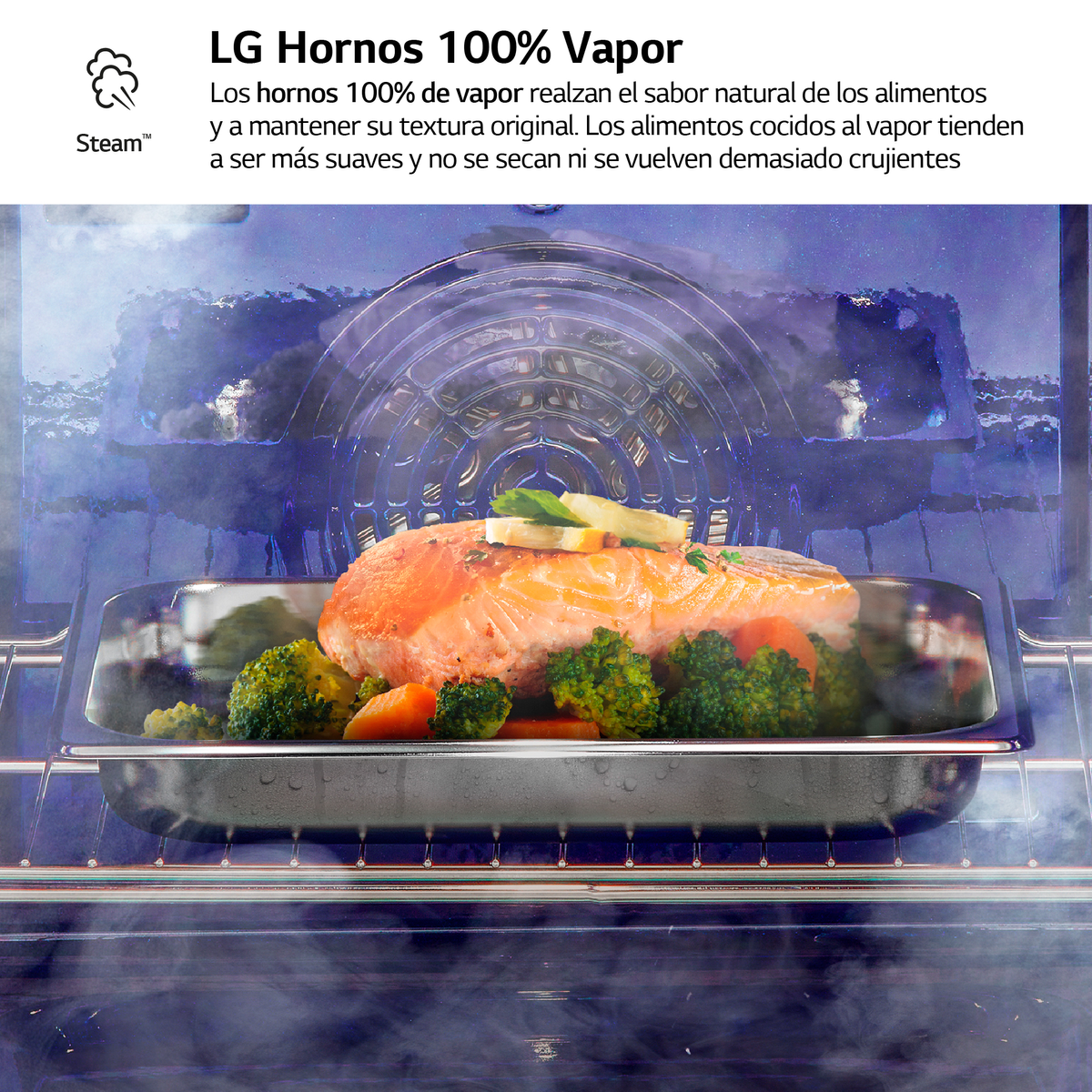 Salmone e verdure in forno a vapore, logo LG, interno blu.