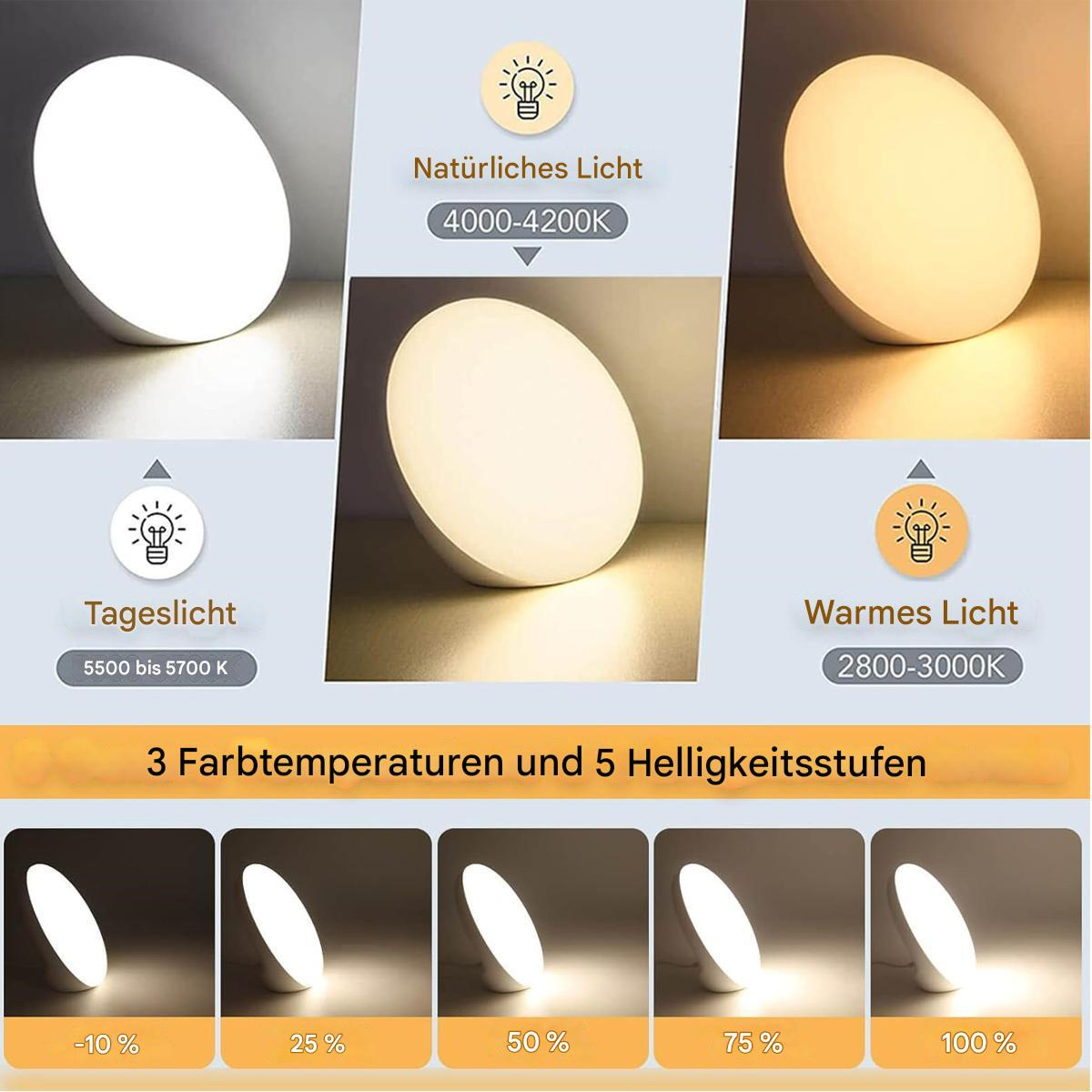 Mehrere Lampen zeigen Lichtvariationen. Natürliches Licht, Tageslicht und warmes Licht werden gezeigt. Verschiedene Helligkeitsstufen.
