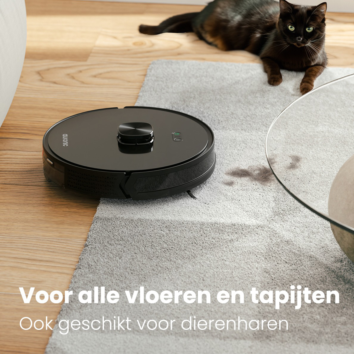 Een zwarte robotstofzuiger op een lichtgrijs kleed, met een zwarte kat op de achtergrond.