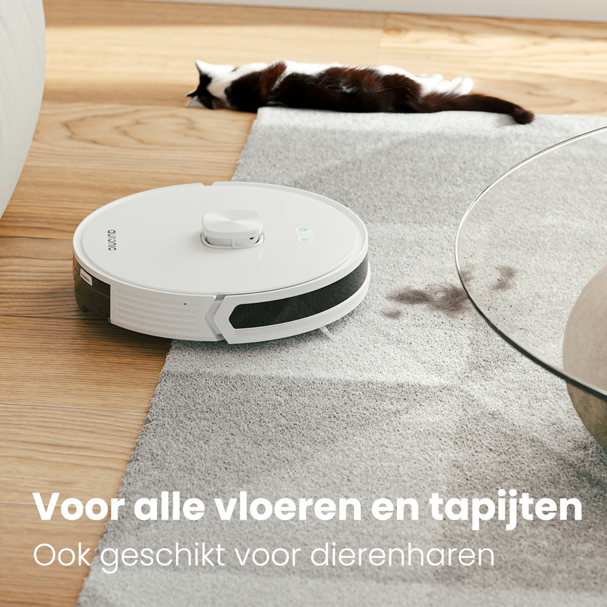 Aspirateur robot blanc sur un tapis et un sol en bois. Chat couché sur le tapis.