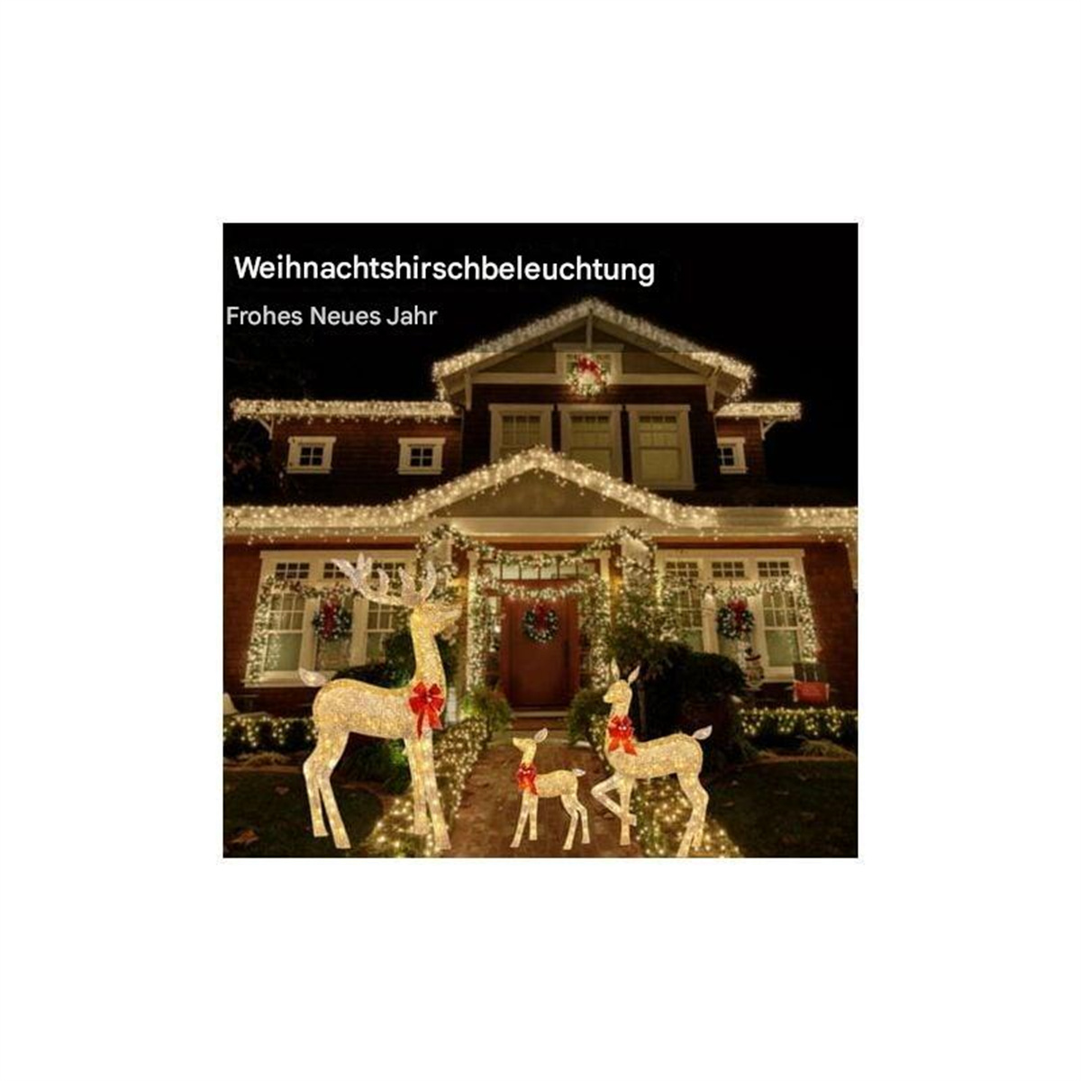 Weihnachtsdekoration: beleuchtete Rentiere vor einem dekorierten Haus bei Nacht.