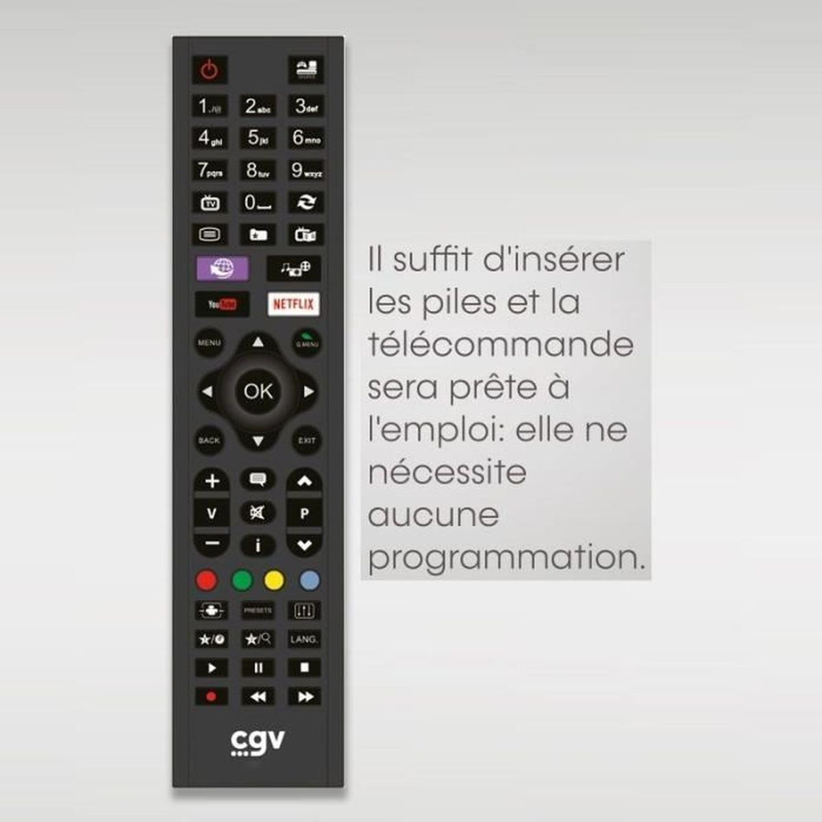 Eine CGV-Fernbedienung mit Tasten, begleitet von Text, der die Benutzerfreundlichkeit beschreibt.
