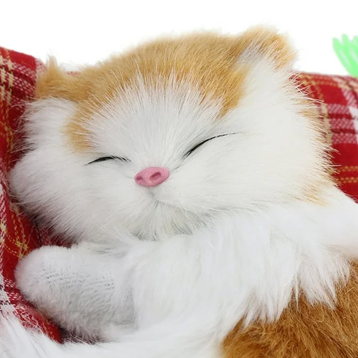 Eine schlafende orange-weiße Katze auf einer rot-weiß karierten Decke.