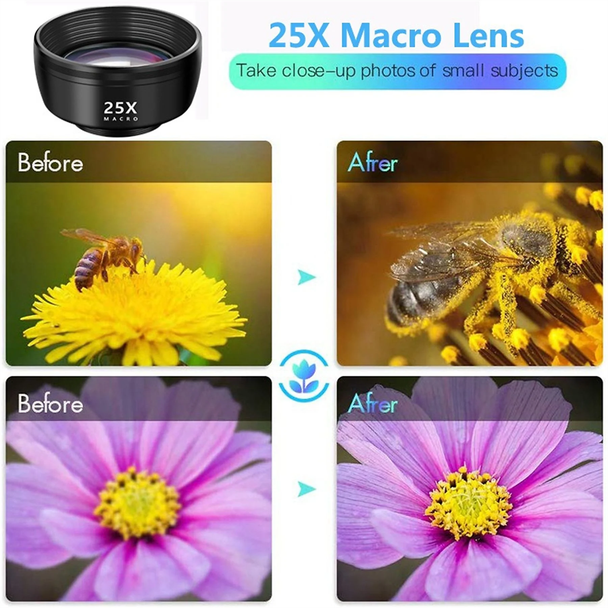 Eine Makrolinse und zwei Paare Vorher-Nachher-Fotos von Blumen und einer Biene.