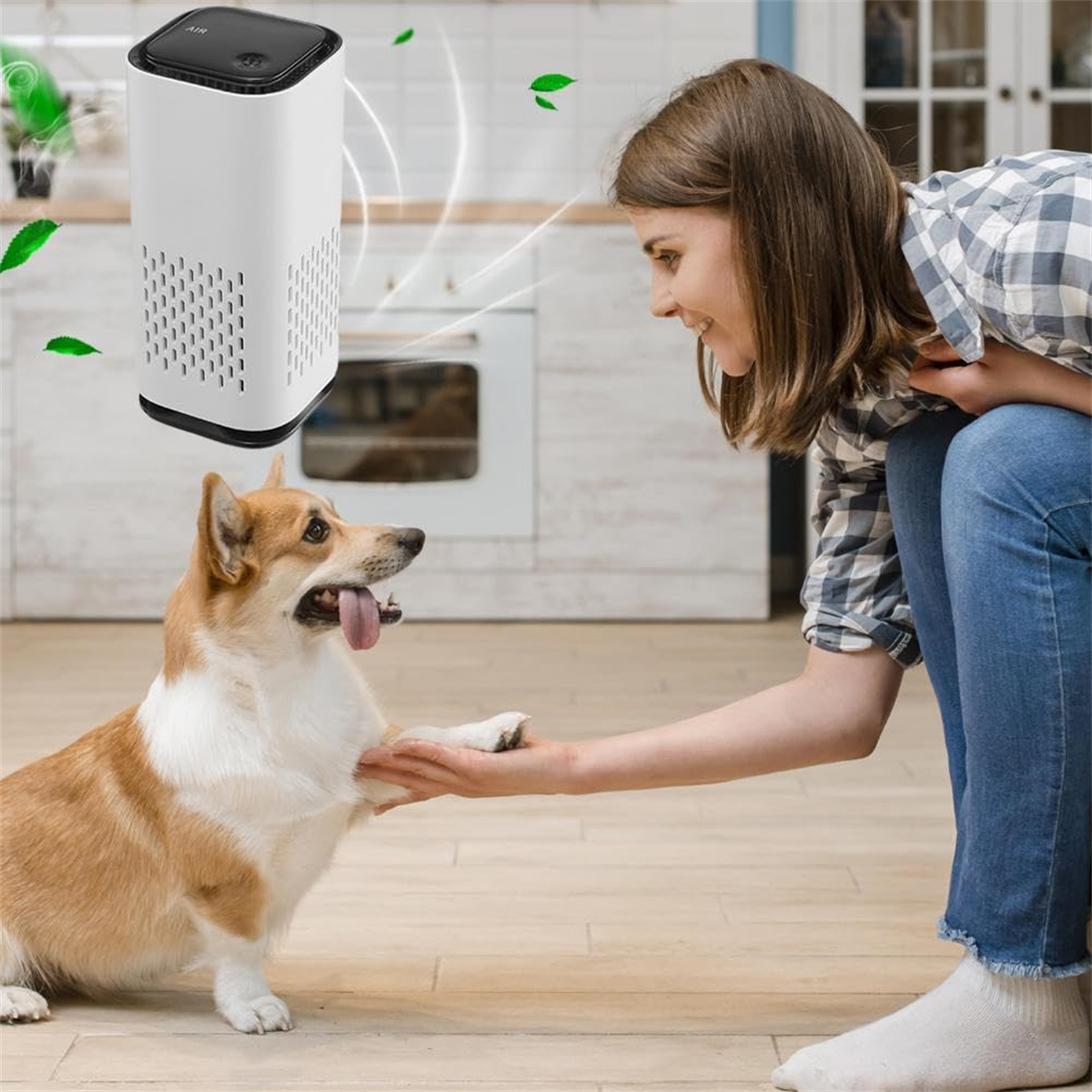 Eine Frau und ein Corgi interagieren in einer Küche in der Nähe eines Luftreinigers.