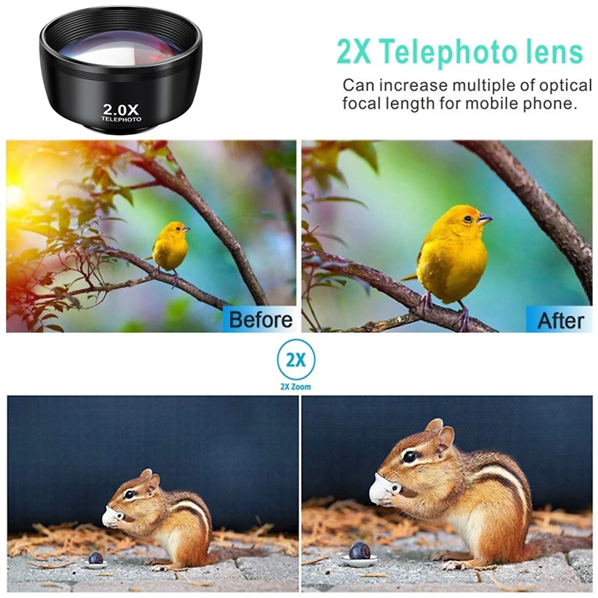 Ein Teleobjektiv und zwei Bildsätze. Vorher/Nachher-Aufnahmen zeigen einen Vogel und ein Streifenhörnchen, vergrößert.