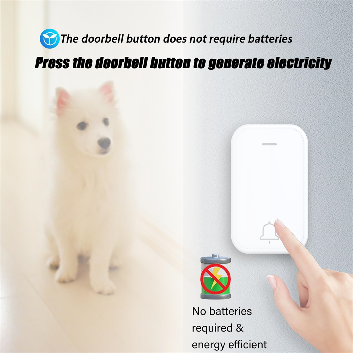 Eine weiße Türklingel mit einer Hand, die sie drückt, ein Hund ist im Hintergrund unscharf. Text sagt, dass keine Batterien benötigt werden.