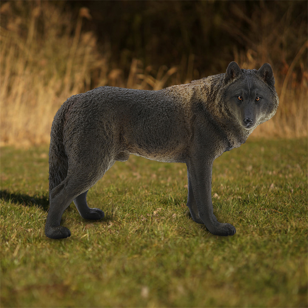 Ein grauer Wolf, der auf grünem Gras steht und den Betrachter anblickt. Der Hintergrund zeigt verschwommenes Gras.